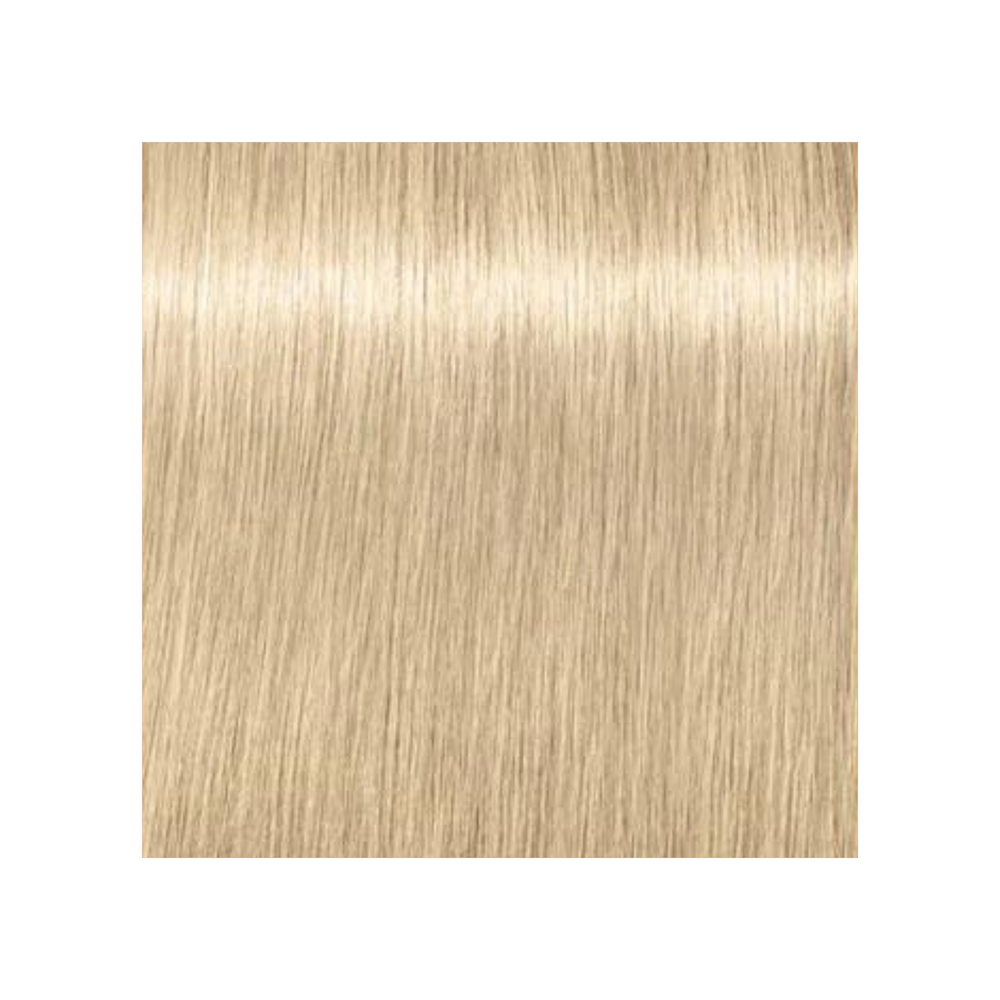 SCHWARZKOPF PROFESSIONNEL_Igora Royal Highlifts - Crème de coloration permanente_60ml-12-1 - Spécial Blond cendré_Gisèle produits de beauté