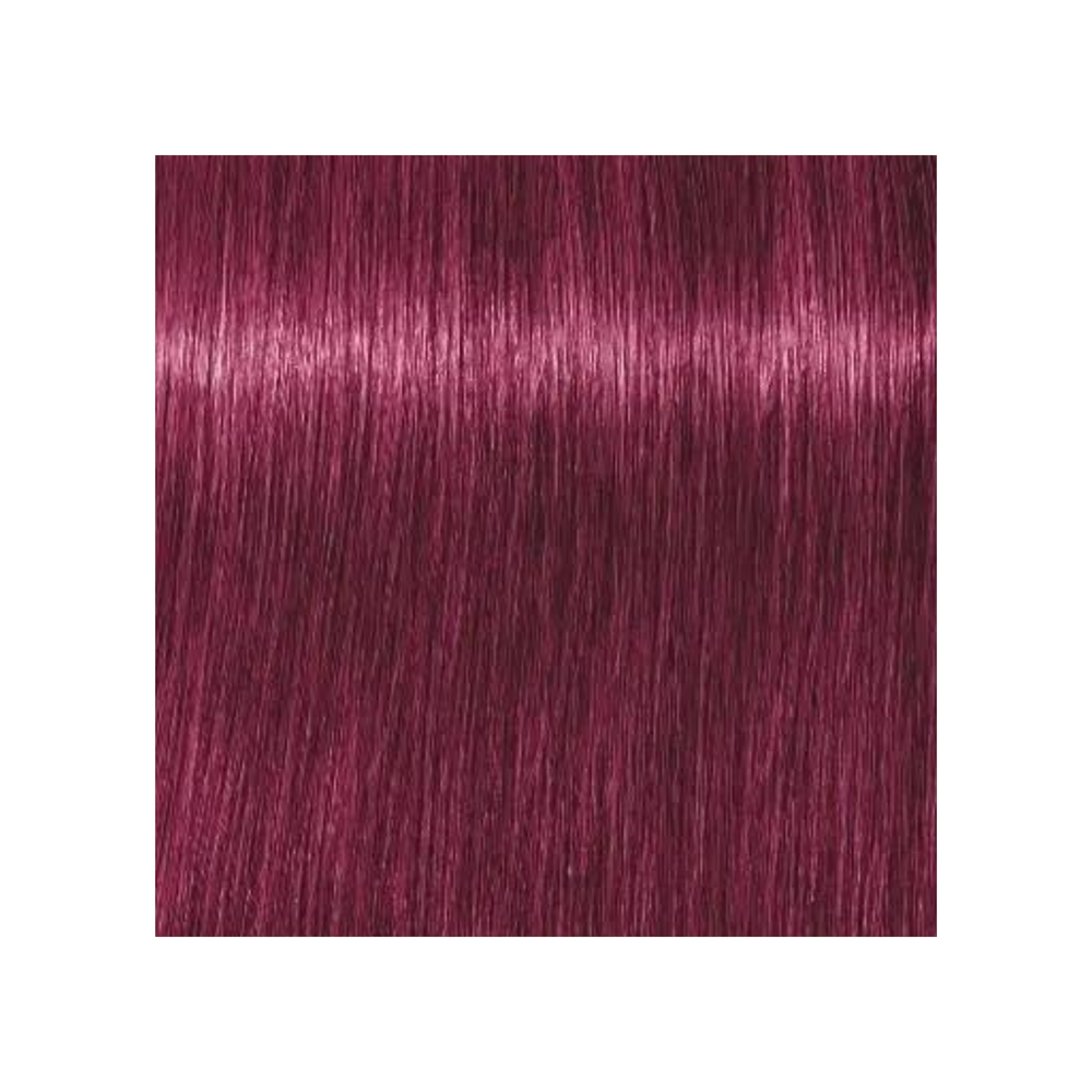 SCHWARZKOPF PROFESSIONNEL_Igora Royal - Coloration permanente_60ml-0-89 - Concentré rouge violet_Gisèle produits de beauté