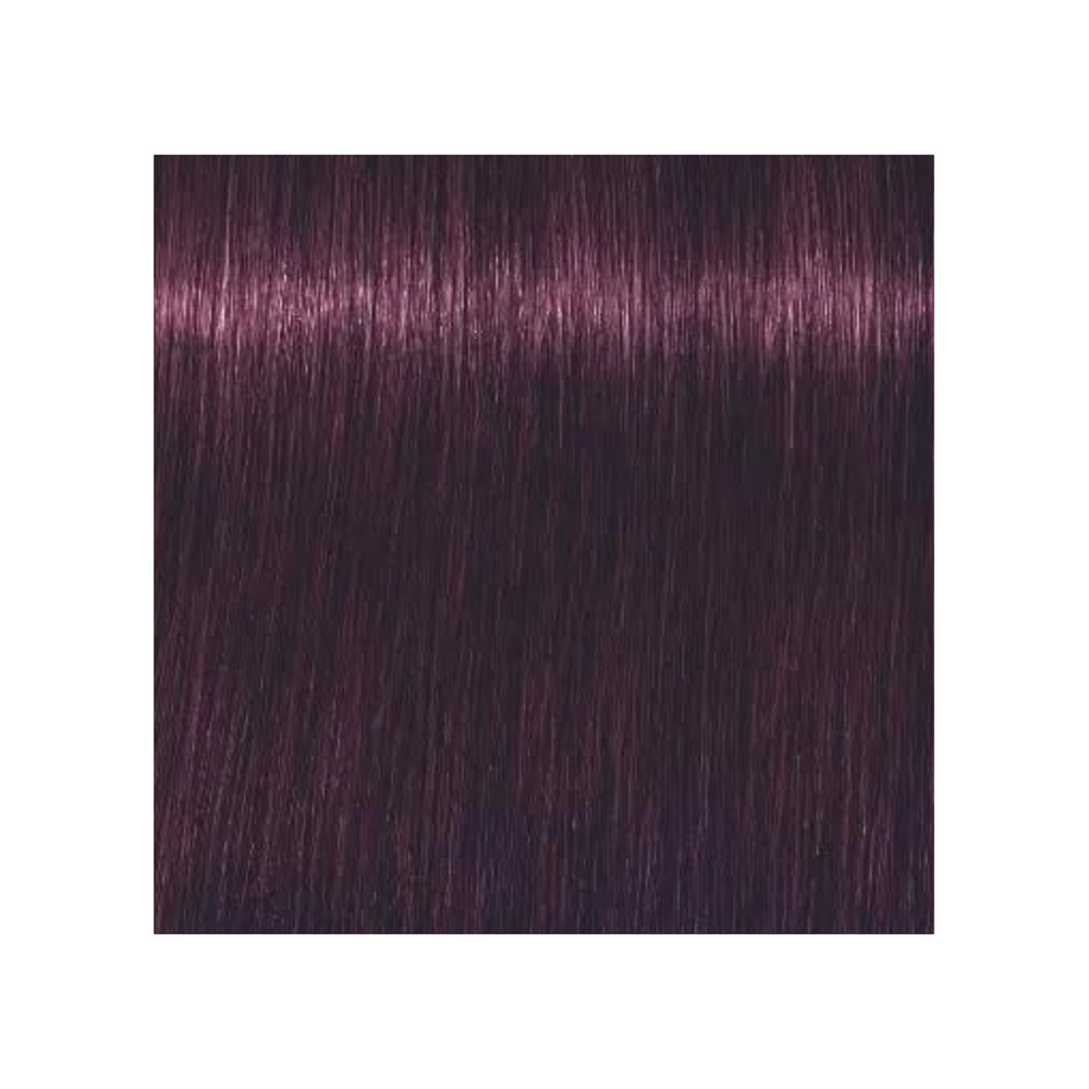 SCHWARZKOPF PROFESSIONNEL_Igora Royal - Coloration permanente_60ml-0-99 - Concentré violet_Gisèle produits de beauté