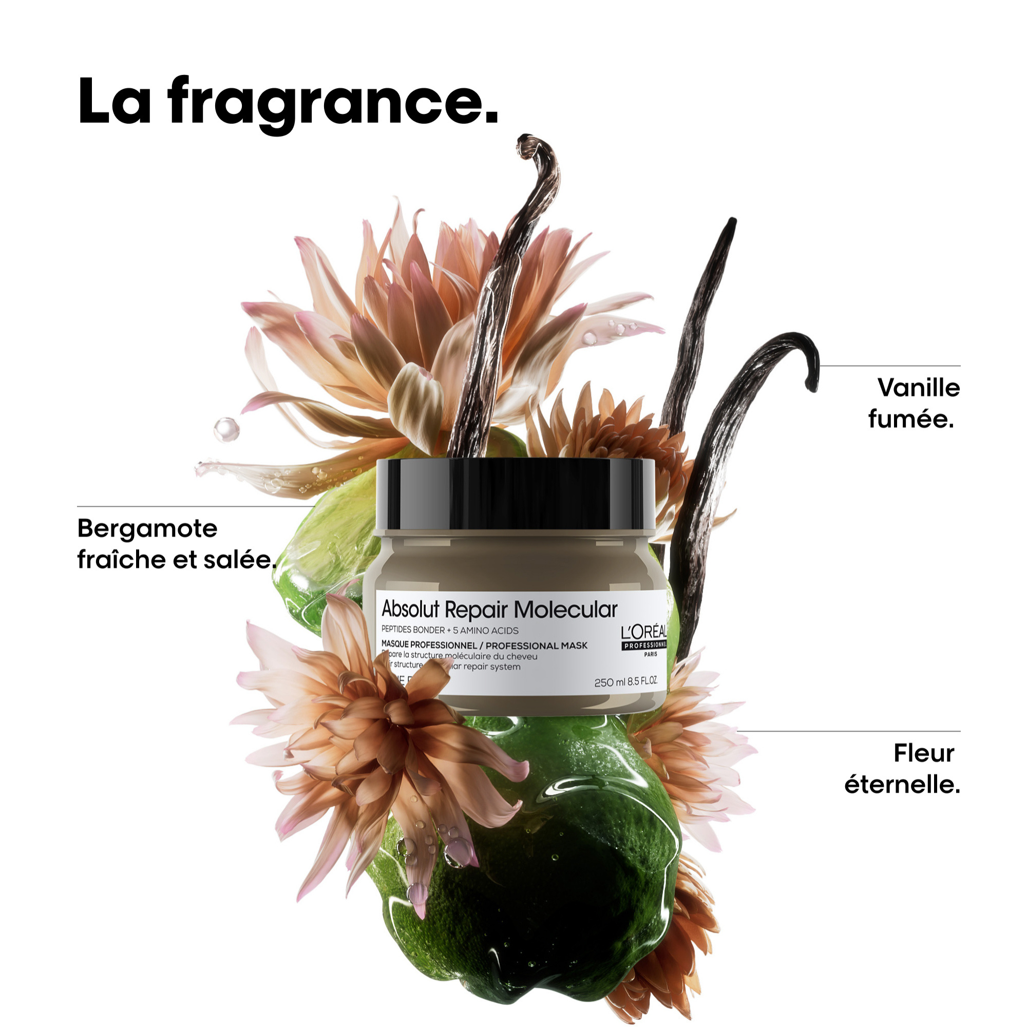 ABSOLUT REPAIR MOLECULAR - MASQUE
