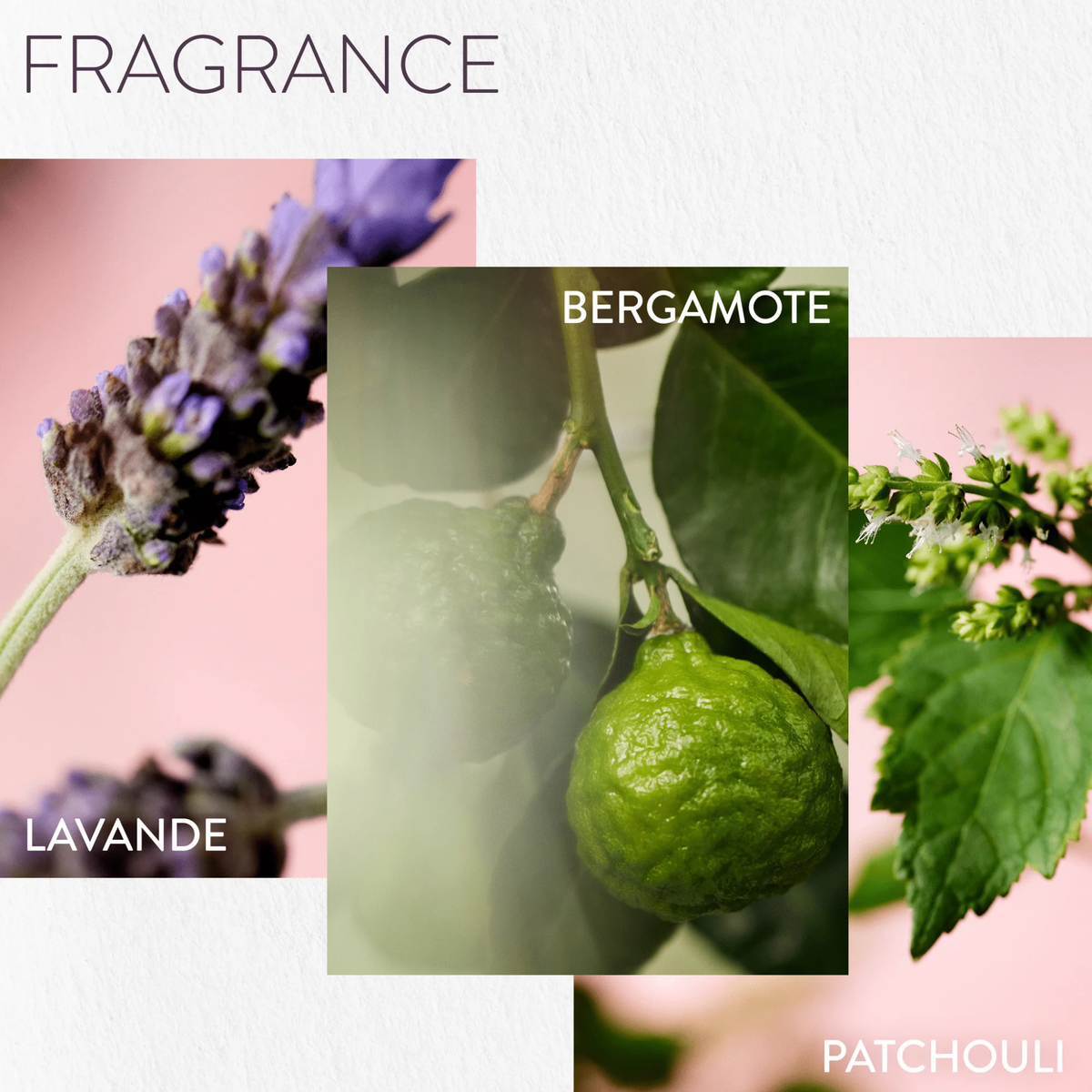 HYDRATE - MASQUE TRAITANT