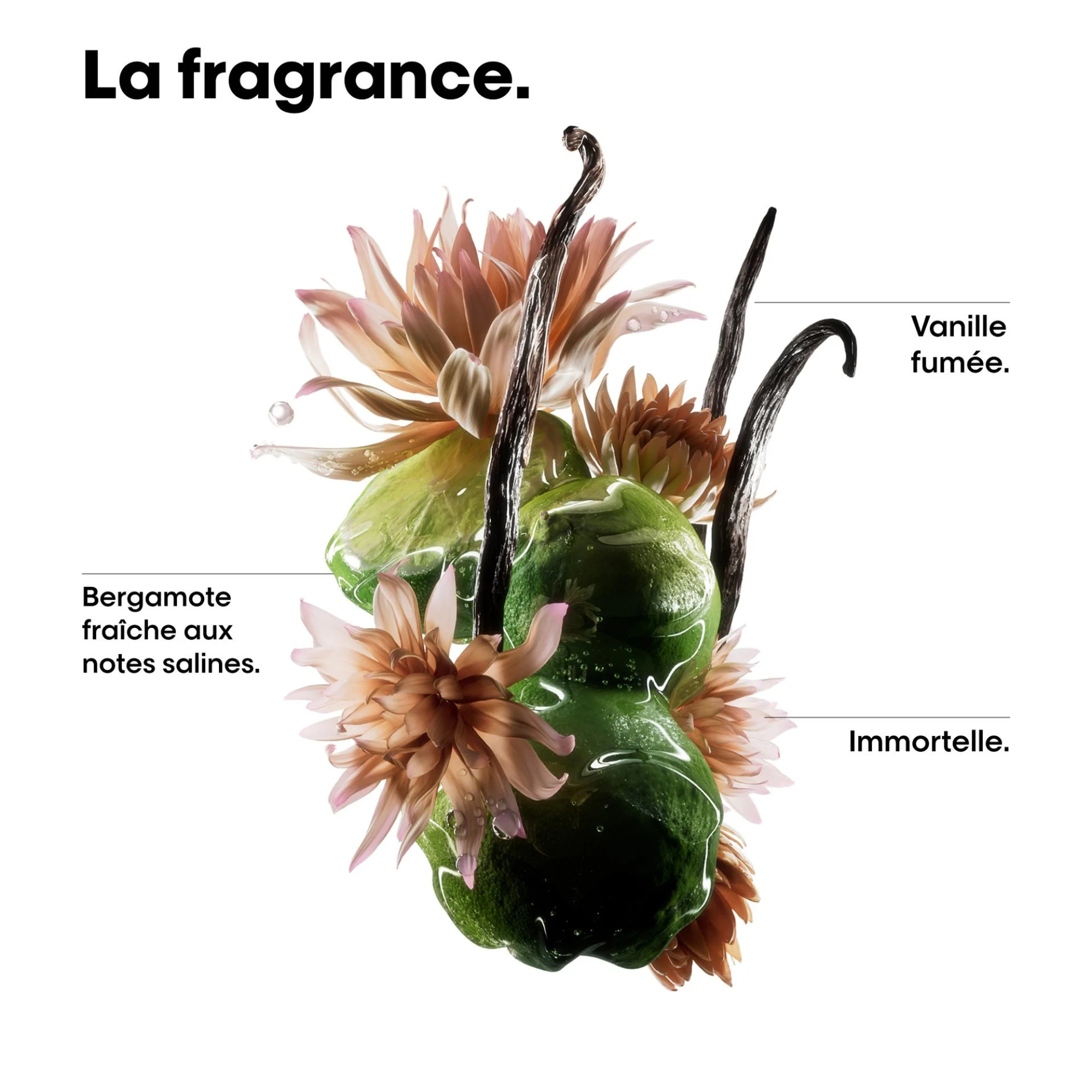 ABSOLUT REPAIR MOLECULAR - BI-PHASE OIL