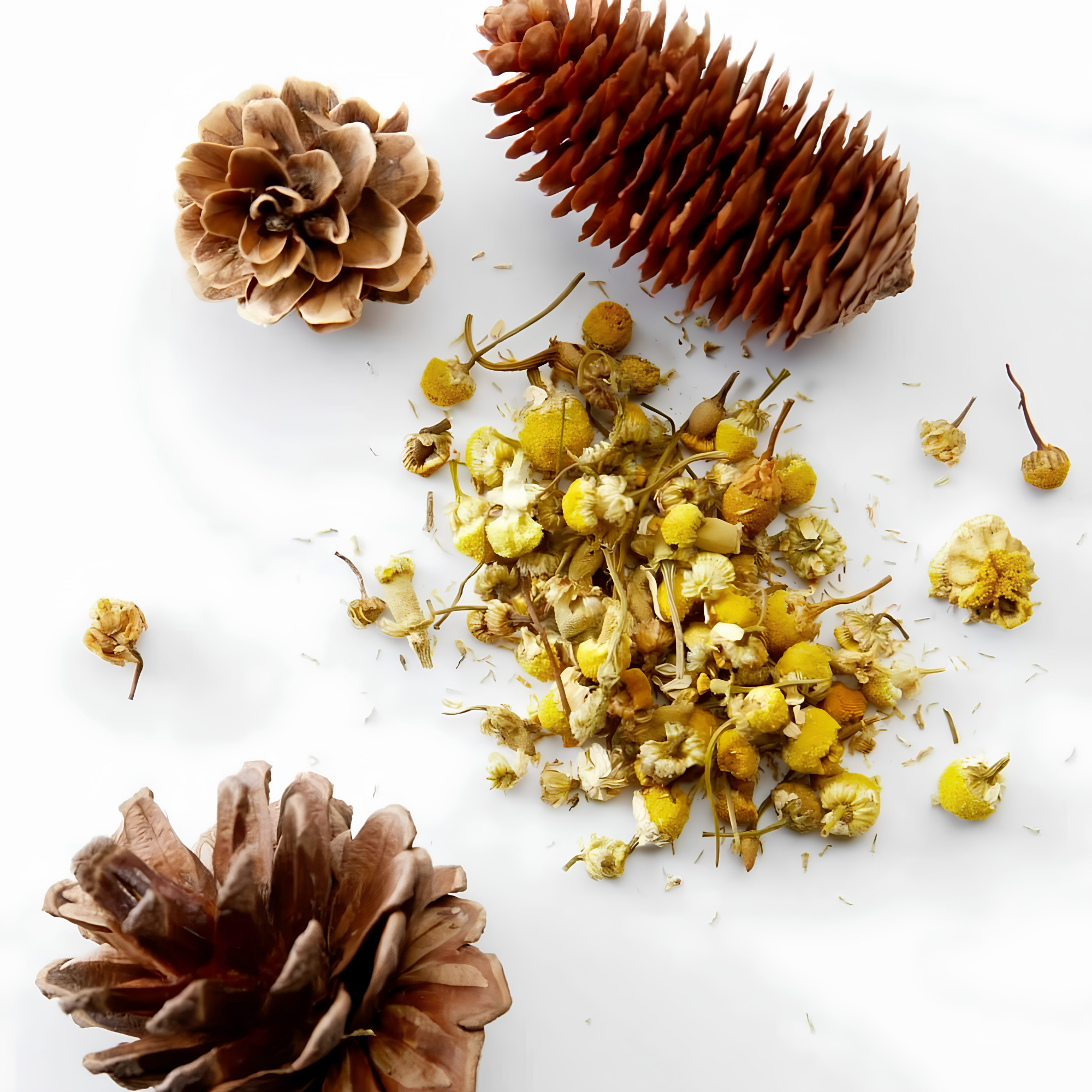 SHAMPOOING 3 EN 1  - CHAMOMILE ET PIN