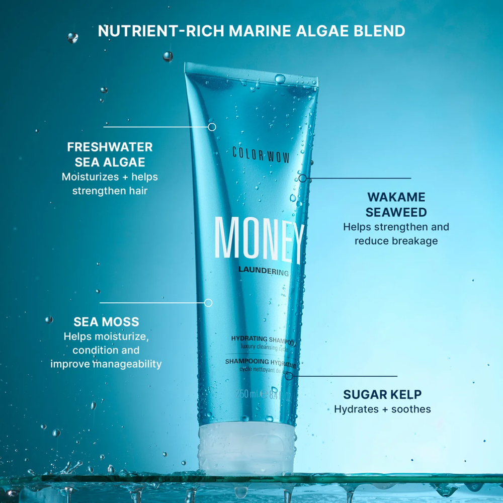 MONEY LAUNDERING - SHAMPOOING HYDRATANT