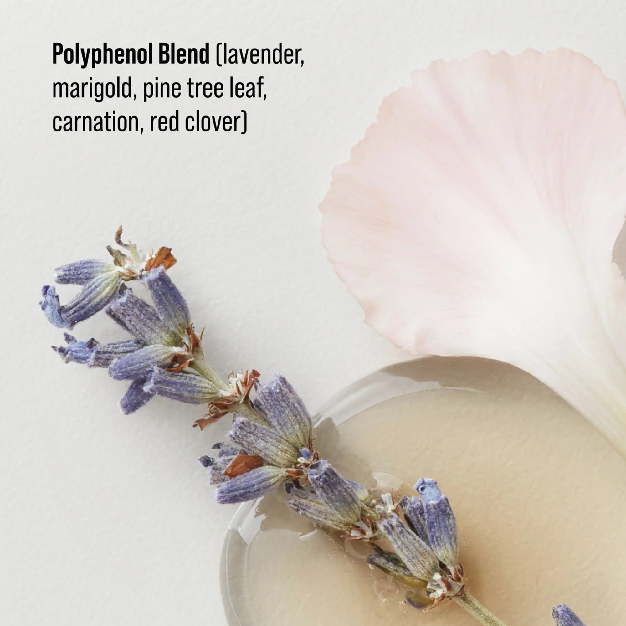 COLOR SAVOUR - COLOR PROTECTION SHAMPOO