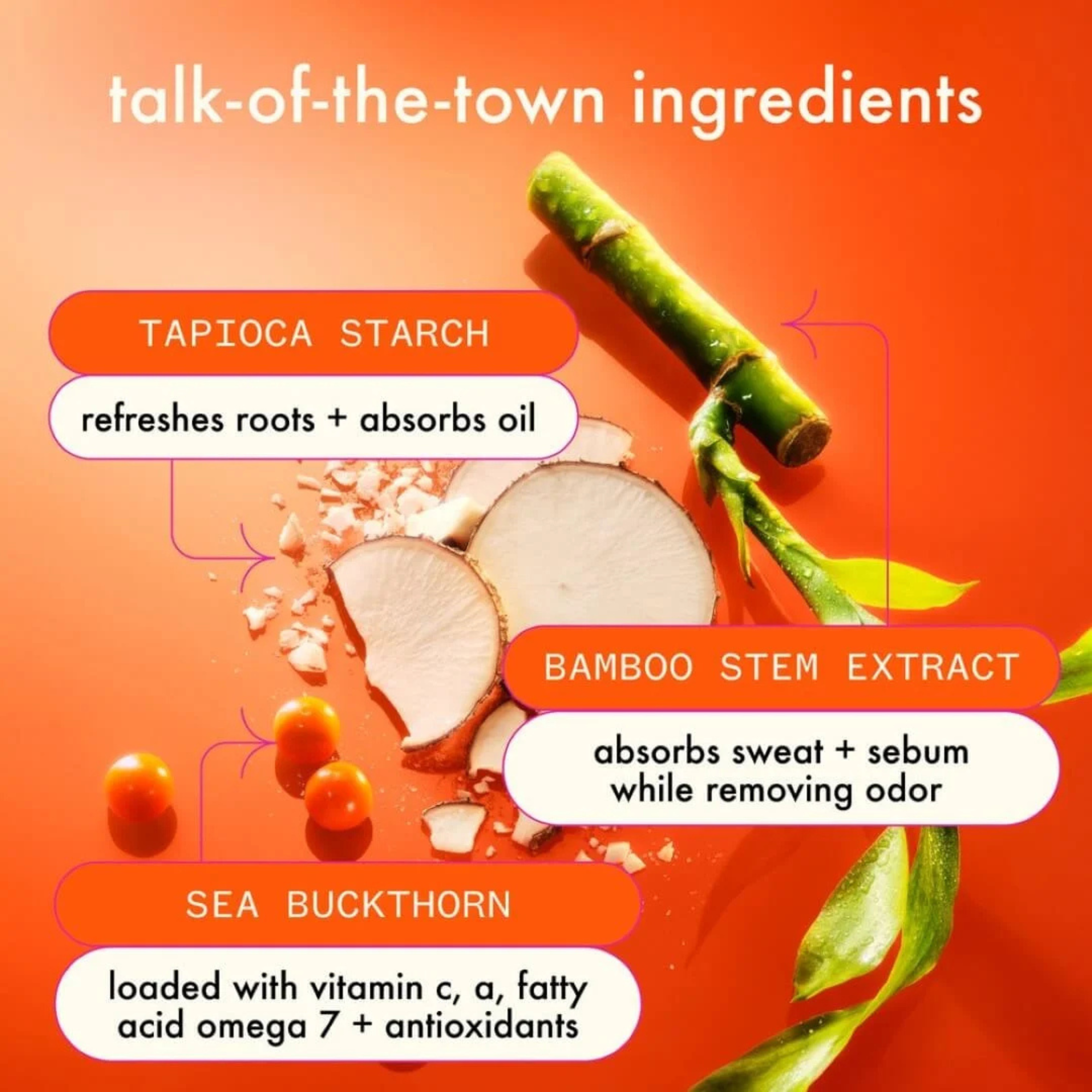 PERK UP ULTRA - SEBUM-REGULATING DRY SHAMPOO