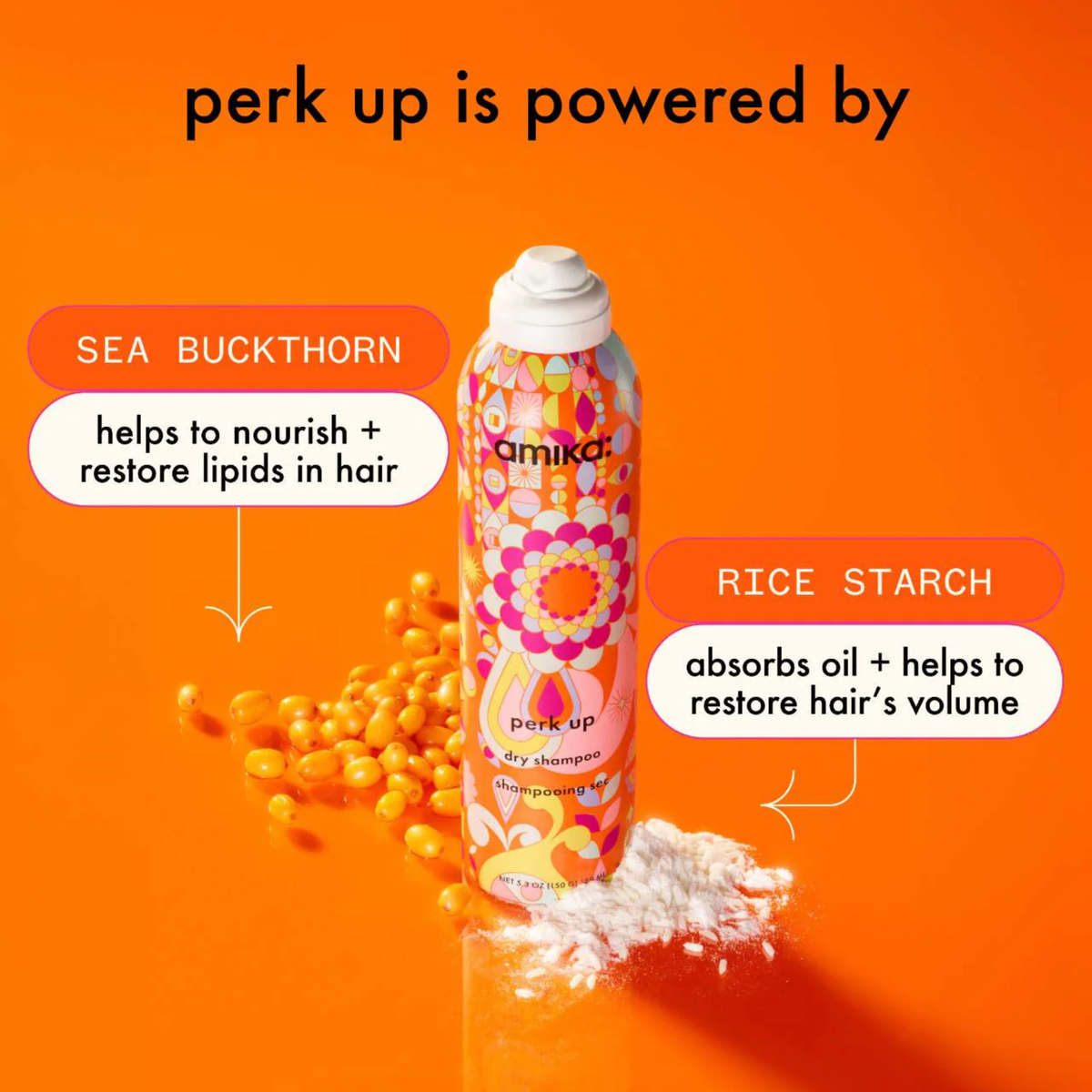 PERK UP - SHAMPOOING SEC