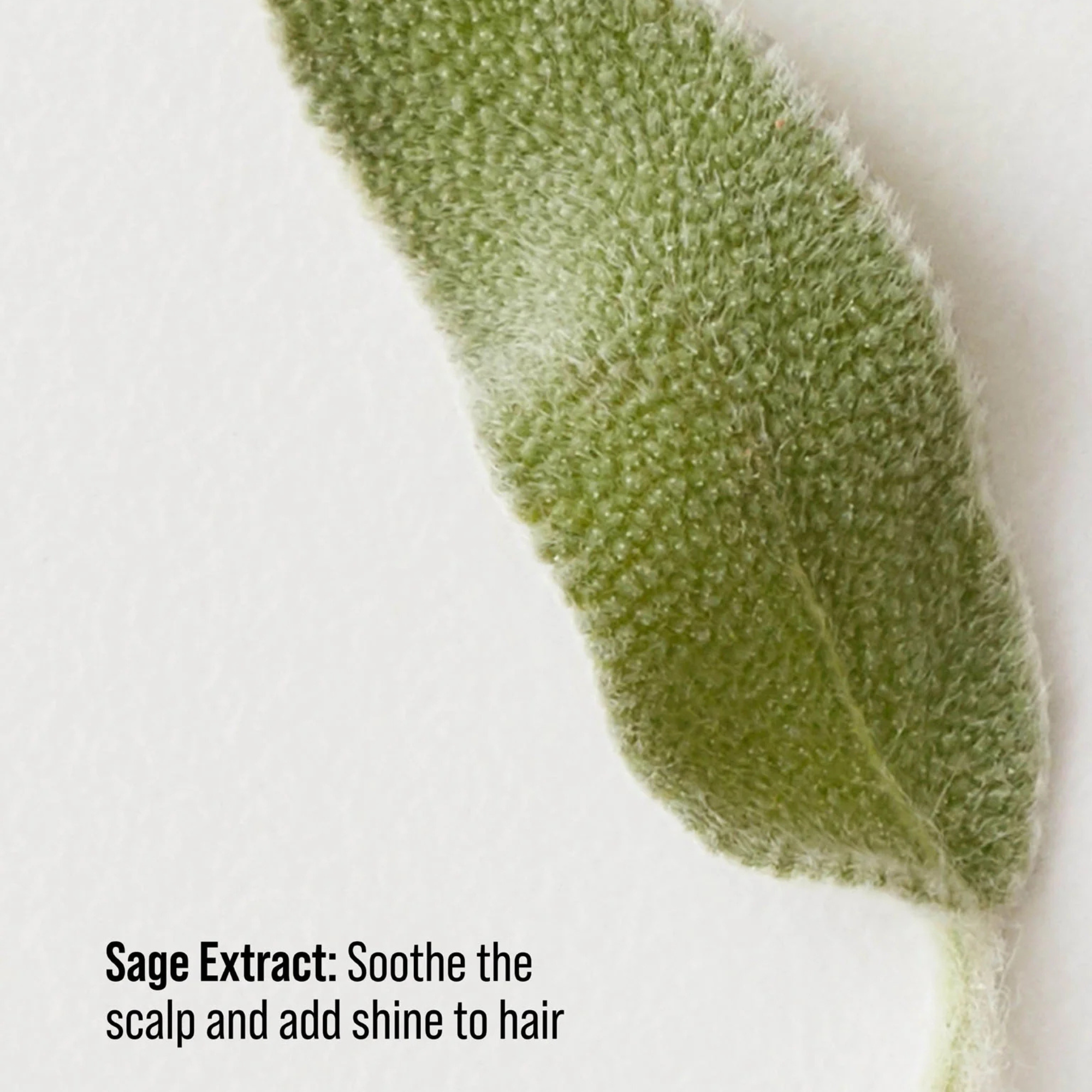 CONDITIONING MIST - DETANGLING SPRAY