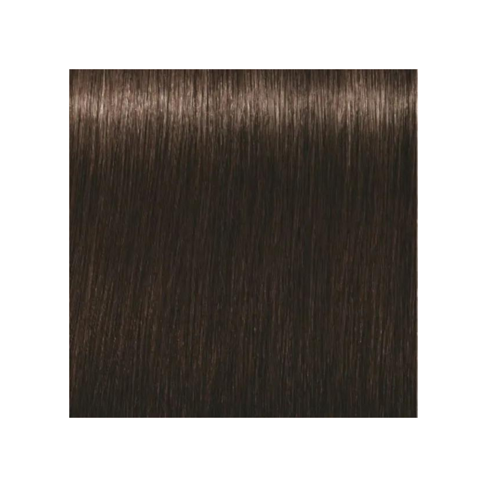 SCHWARZKOPF PROFESSIONNEL_Igora Royal - Coloration permanente_60ml-3-65 - Châtain foncé marron doré_Gisèle produits de beauté