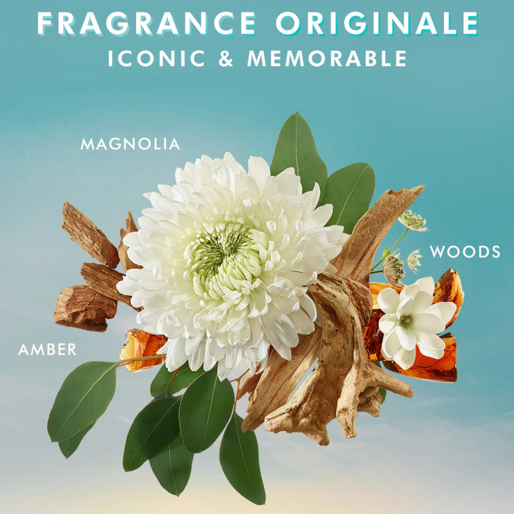COFFRET VOYAGE - CORPS