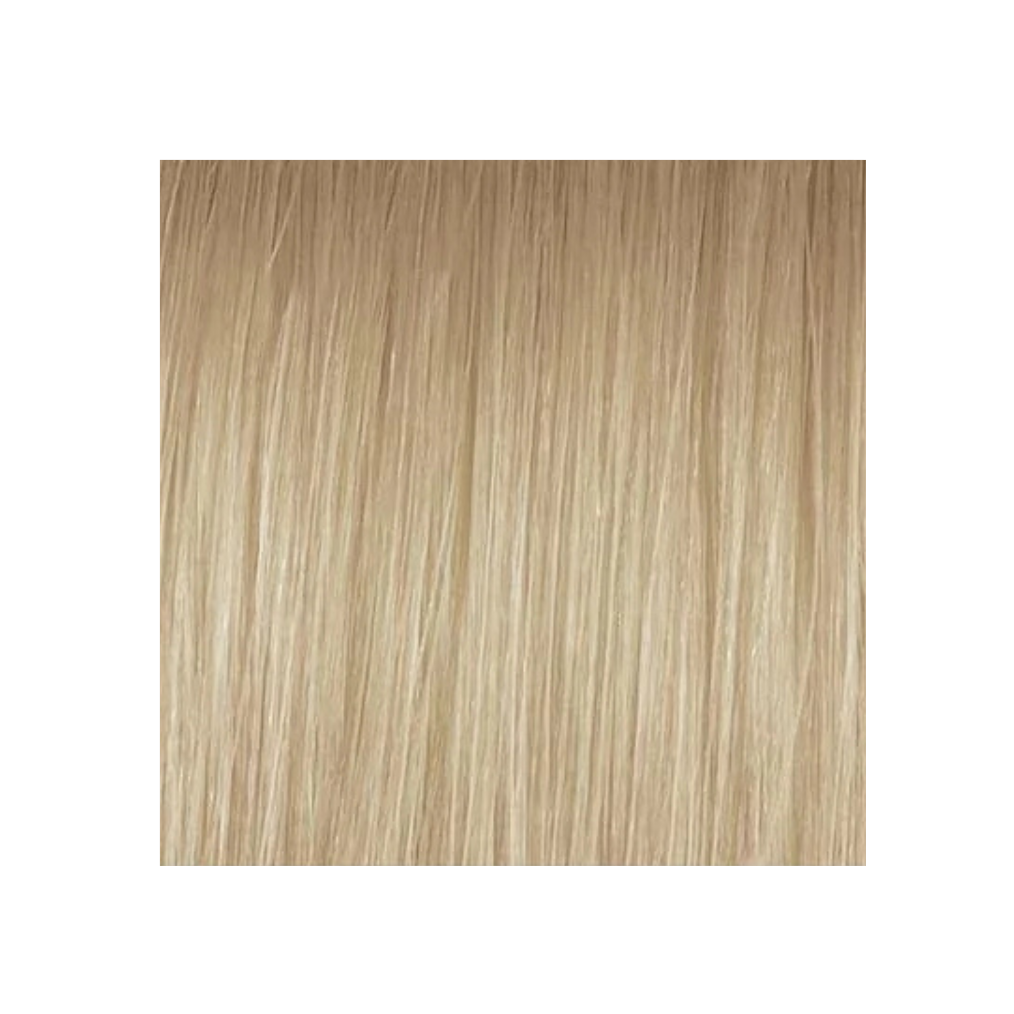 BLONDE LIFE - QUICK TONE