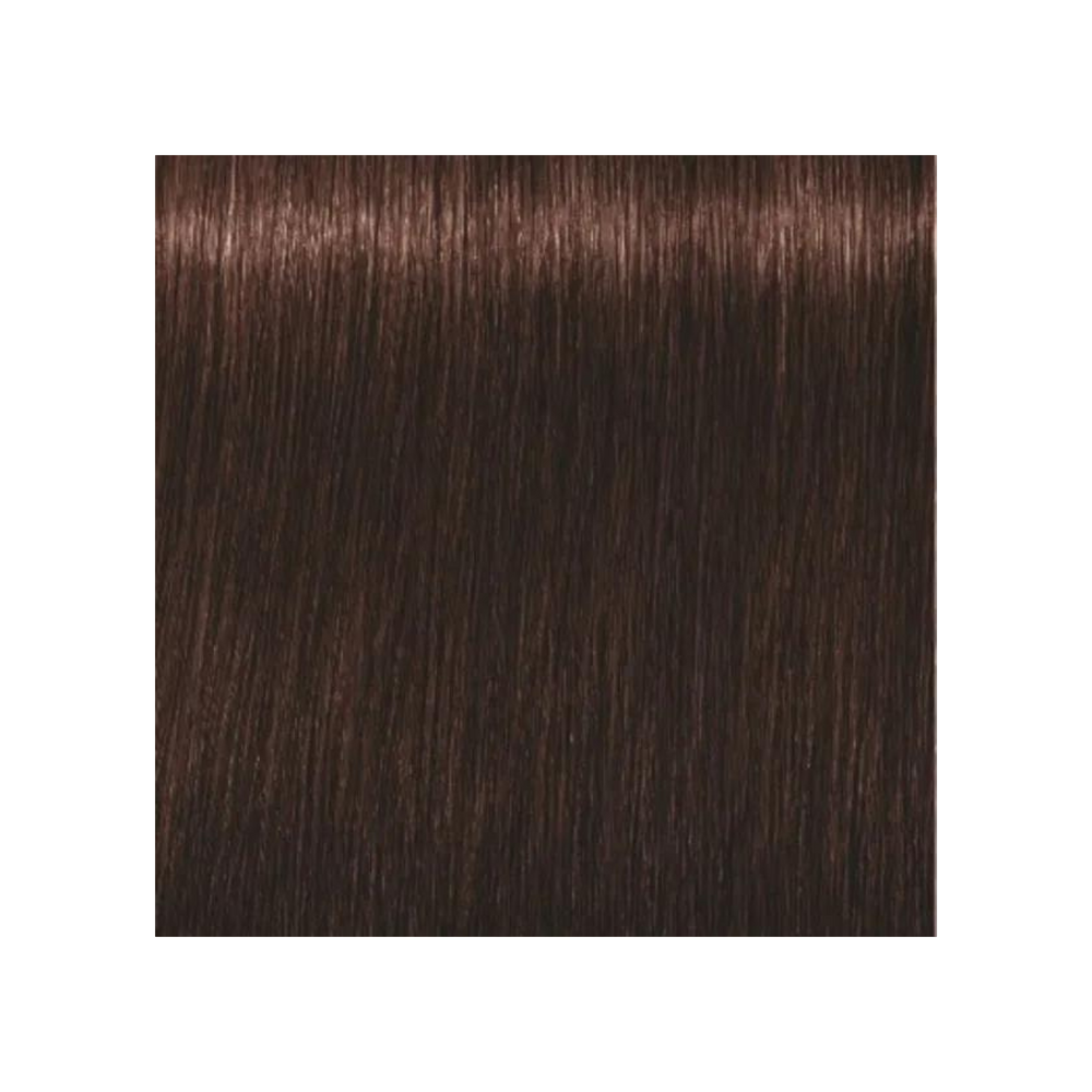SCHWARZKOPF PROFESSIONNEL_Igora Royal - Coloration permanente_60ml-4-68 - Châtain moyen marron rouge_Gisèle produits de beauté