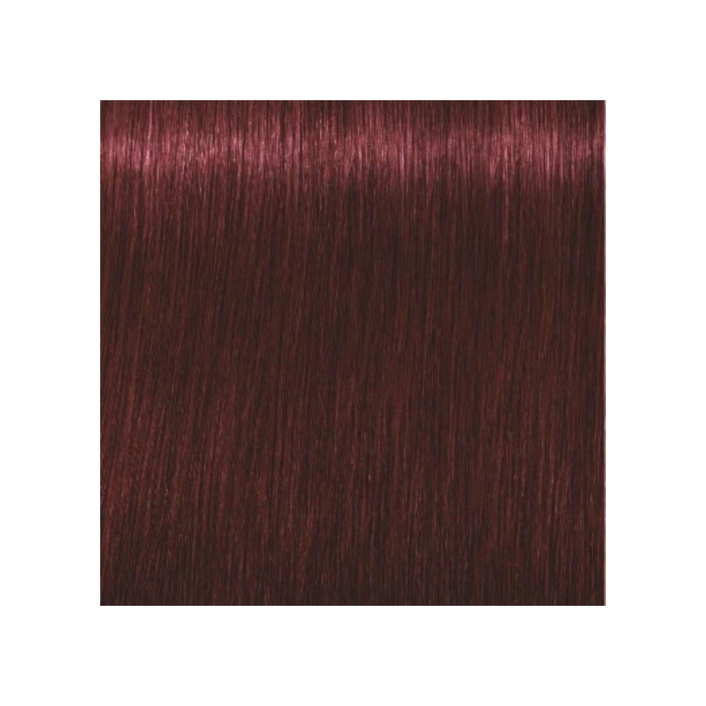 SCHWARZKOPF PROFESSIONNEL_Igora Royal - Coloration permanente_60ml-4-88 - Châtain moyen rouge extra_Gisèle produits de beauté