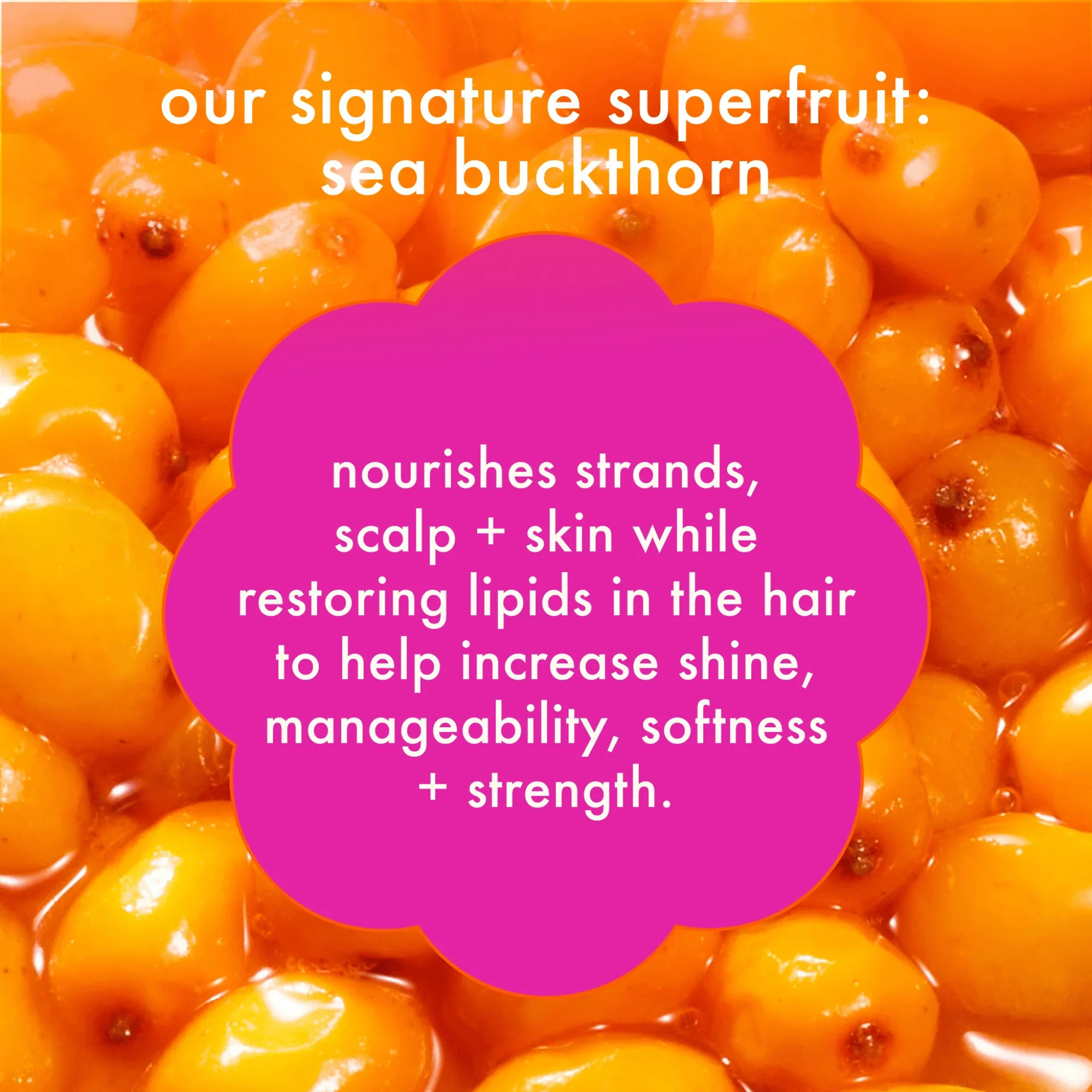FORGET FRIZZ - SMOOTHING CONDITIONER