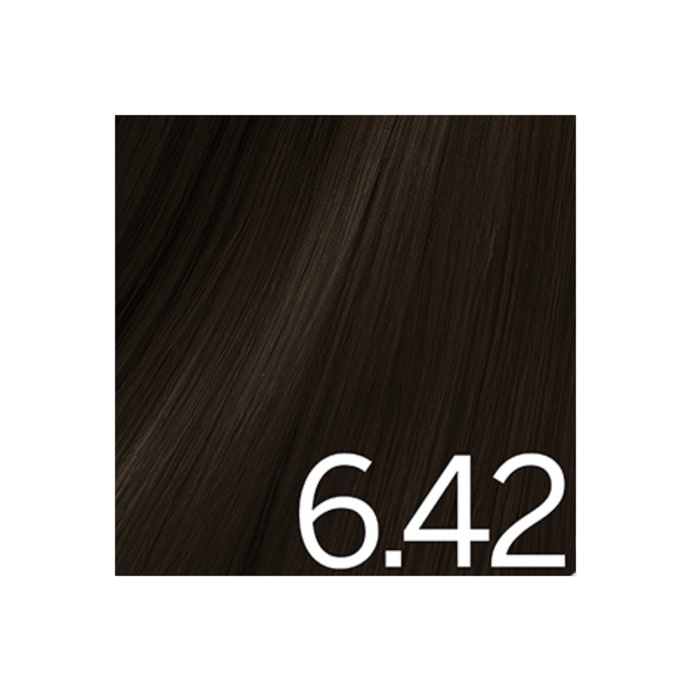 COLOR EXCEL - COLORATION PERMANENTE GEL-CRÈME