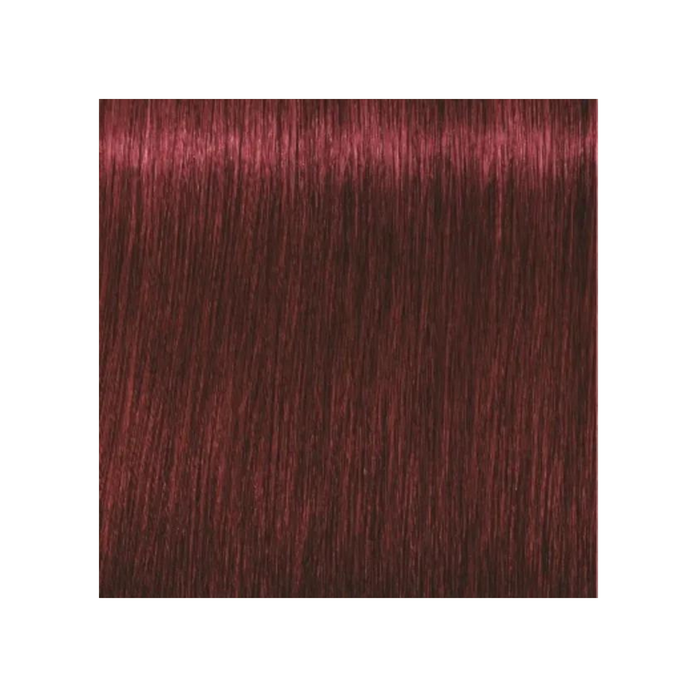 SCHWARZKOPF PROFESSIONNEL_Igora Royal - Coloration permanente_60ml-5-88 - Châtain clair rouge extra_Gisèle produits de beauté