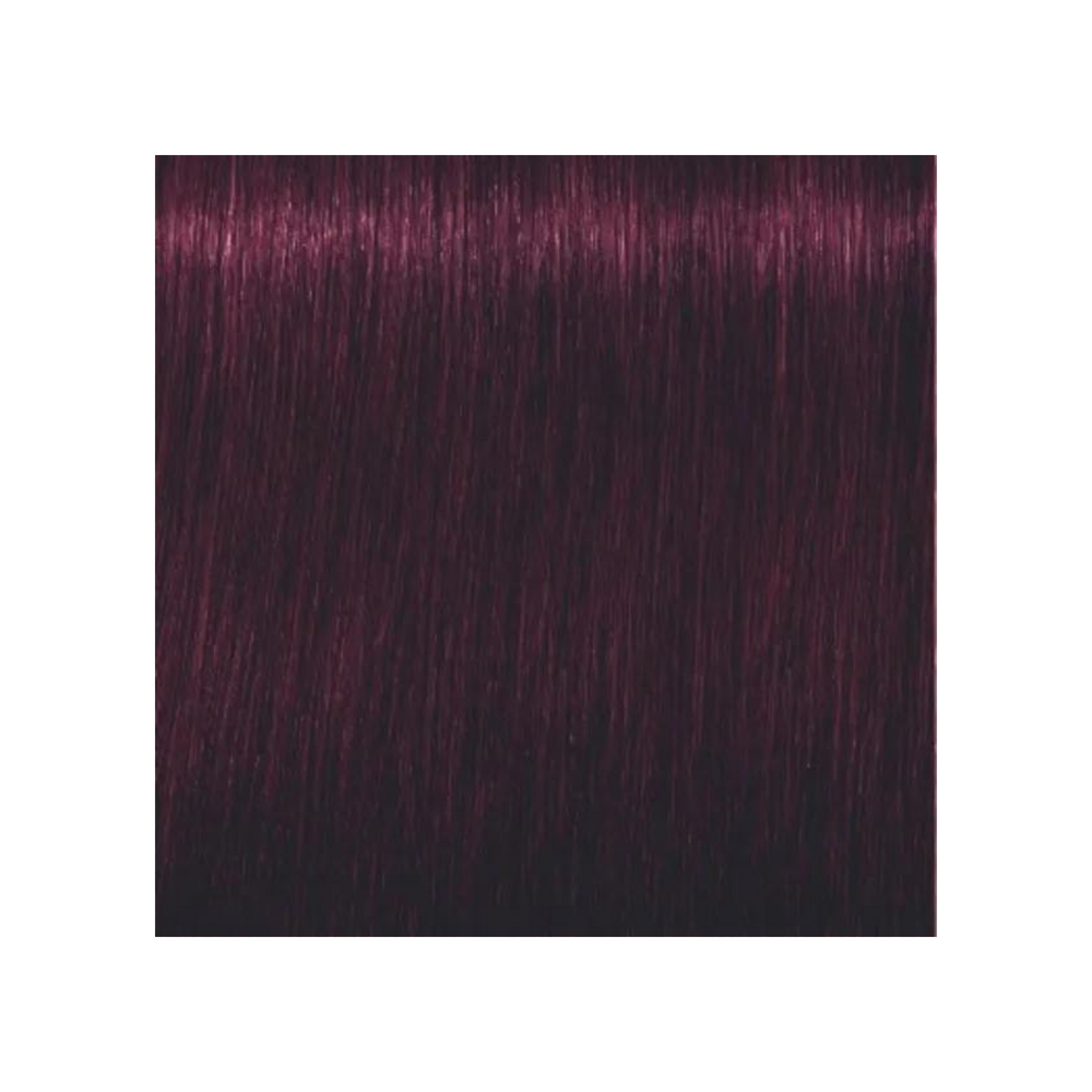 SCHWARZKOPF PROFESSIONNEL_Igora Royal - Coloration permanente_60ml-5-99 - Châtain clair violet extra_Gisèle produits de beauté