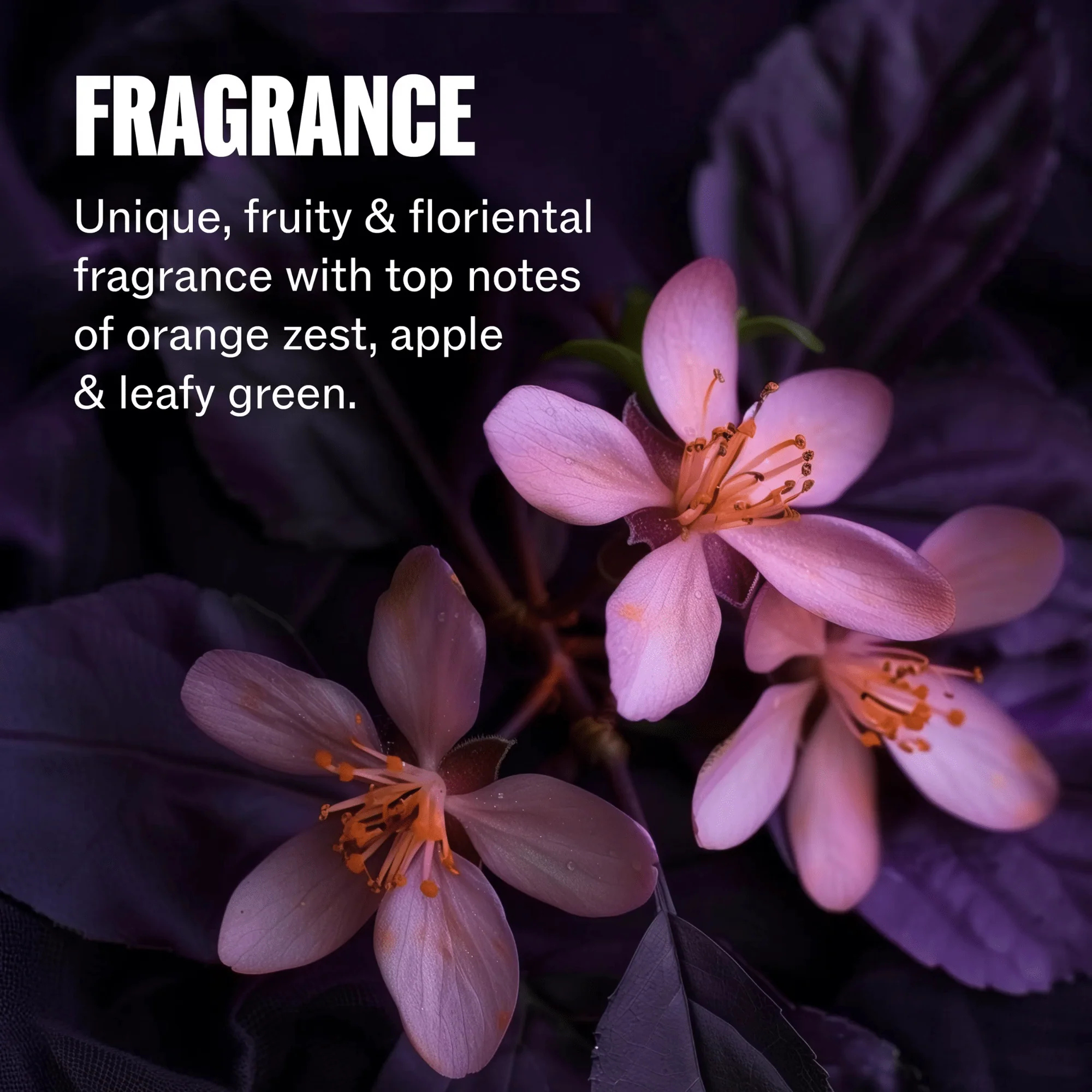 ULTIMATE COLOR - REVITALISANT