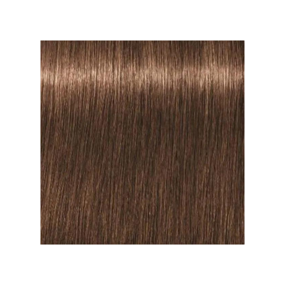 SCHWARZKOPF PROFESSIONNEL_Igora Royal - Coloration permanente_60ml-6-65 - Blond foncé marron doré_Gisèle produits de beauté