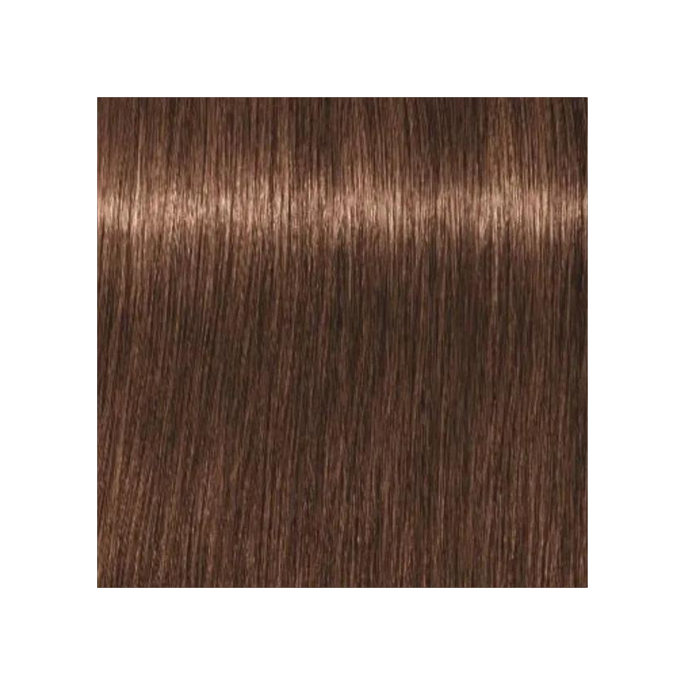 SCHWARZKOPF PROFESSIONNEL_Igora Royal - Coloration permanente_60ml-6-6 - Blond foncé marron_Gisèle produits de beauté