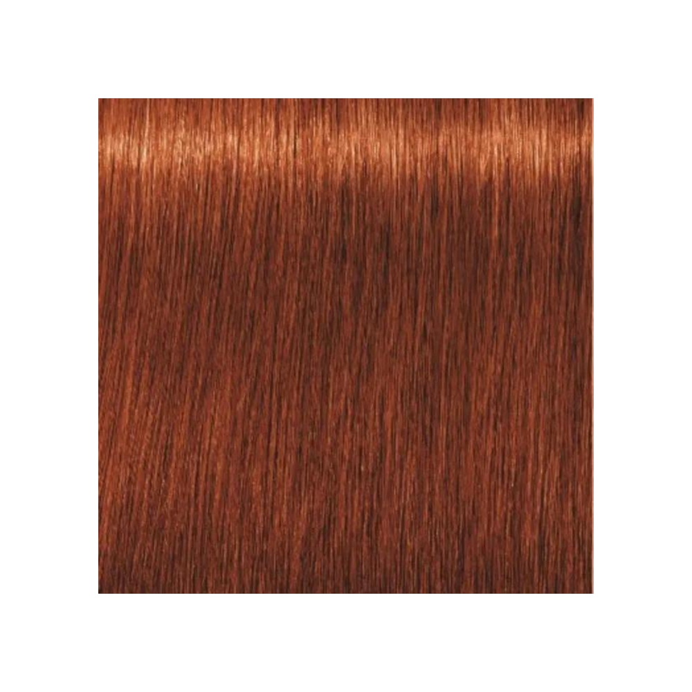 SCHWARZKOPF PROFESSIONNEL_Igora Royal - Coloration permanente_60ml-6-77 - Blond foncé cuivré extra_Gisèle produits de beauté