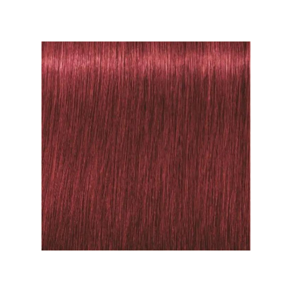 SCHWARZKOPF PROFESSIONNEL_Igora Royal - Coloration permanente_60ml-6-88 - Blond foncé rouge extra_Gisèle produits de beauté
