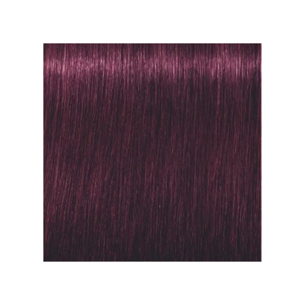 SCHWARZKOPF PROFESSIONNEL_Igora Royal - Coloration permanente_60ml-6-99 - Blond foncé violet extra_Gisèle produits de beauté