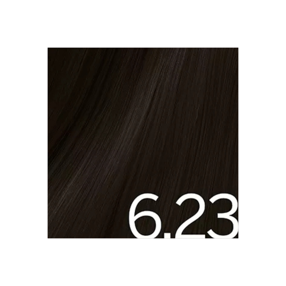 COLOR EXCEL - COLORATION PERMANENTE GEL-CRÈME