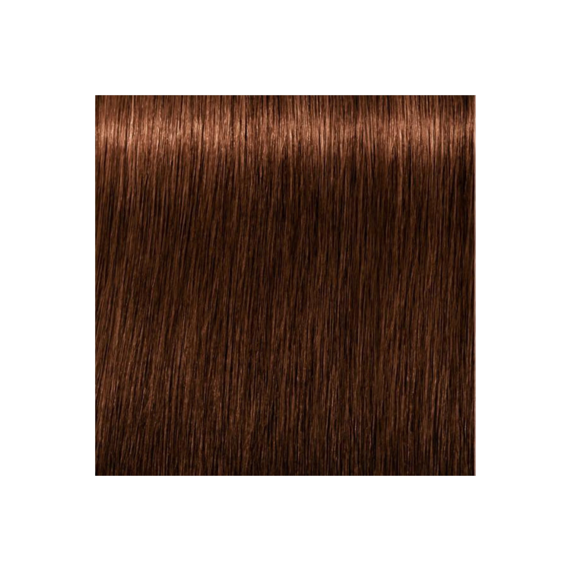 IGORA COLOR10 - COLORATION CRÈME PERMANENTE 10 MINUTES