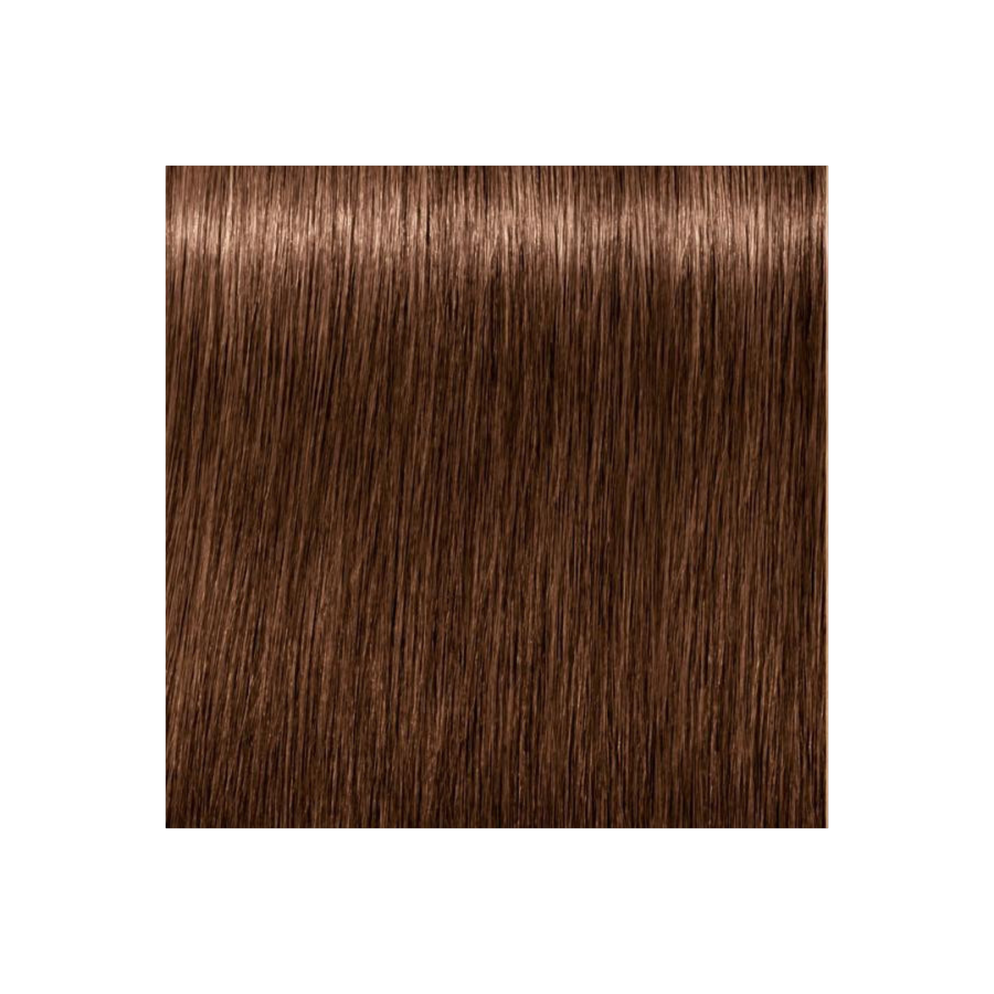IGORA COLOR10 - COLORATION CRÈME PERMANENTE 10 MINUTES