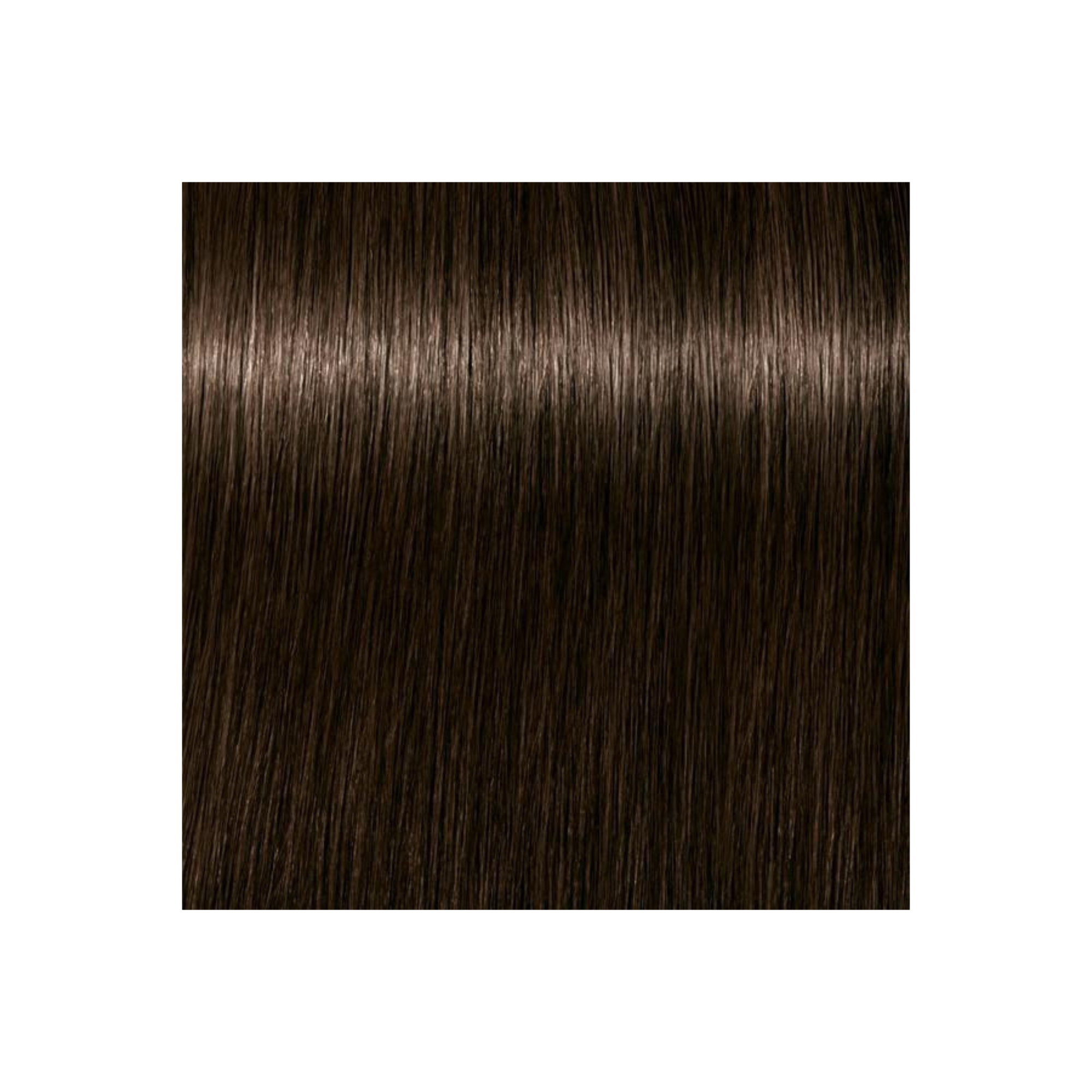 IGORA COLOR10 - COLORATION CRÈME PERMANENTE 10 MINUTES