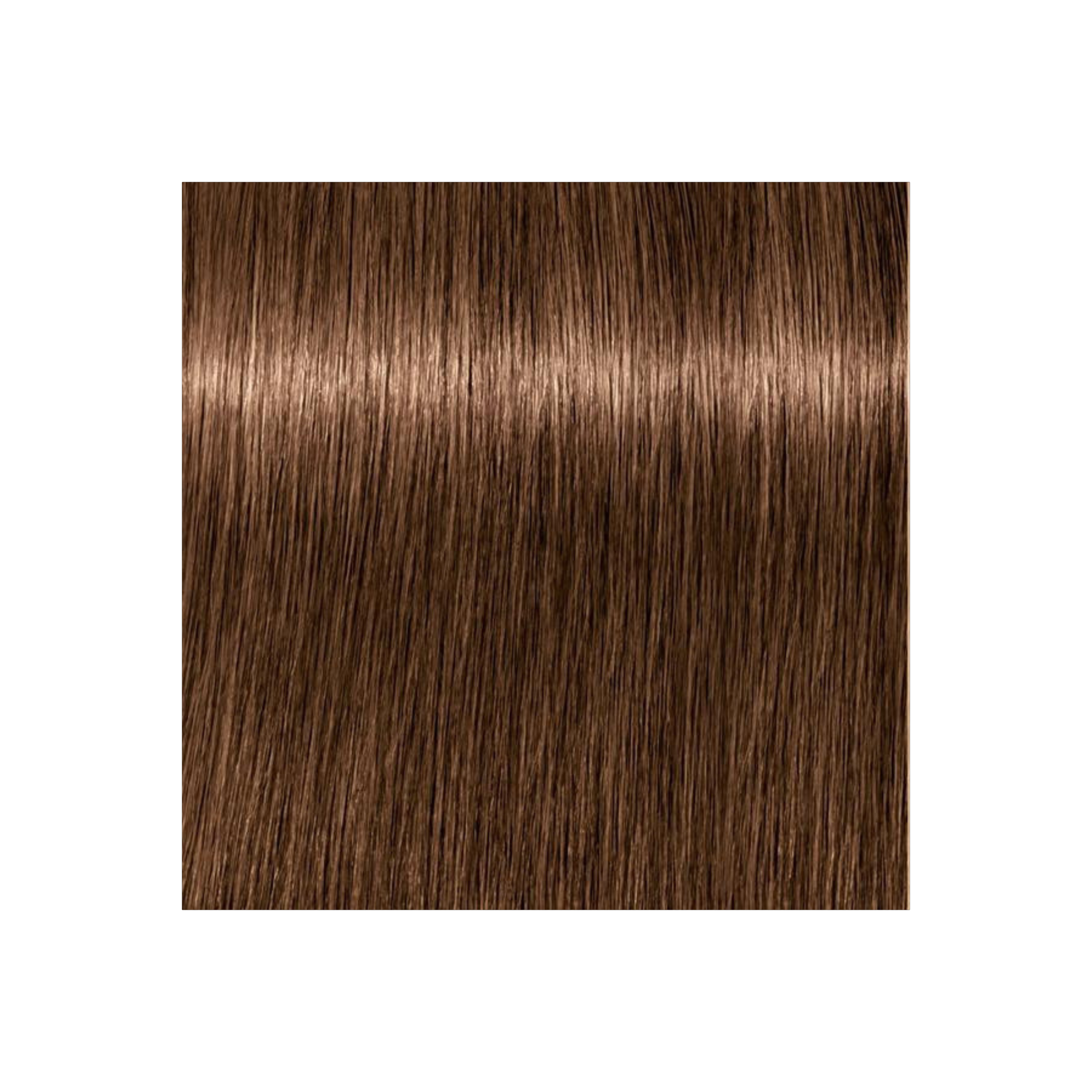 IGORA COLOR10 - COLORATION CRÈME PERMANENTE 10 MINUTES