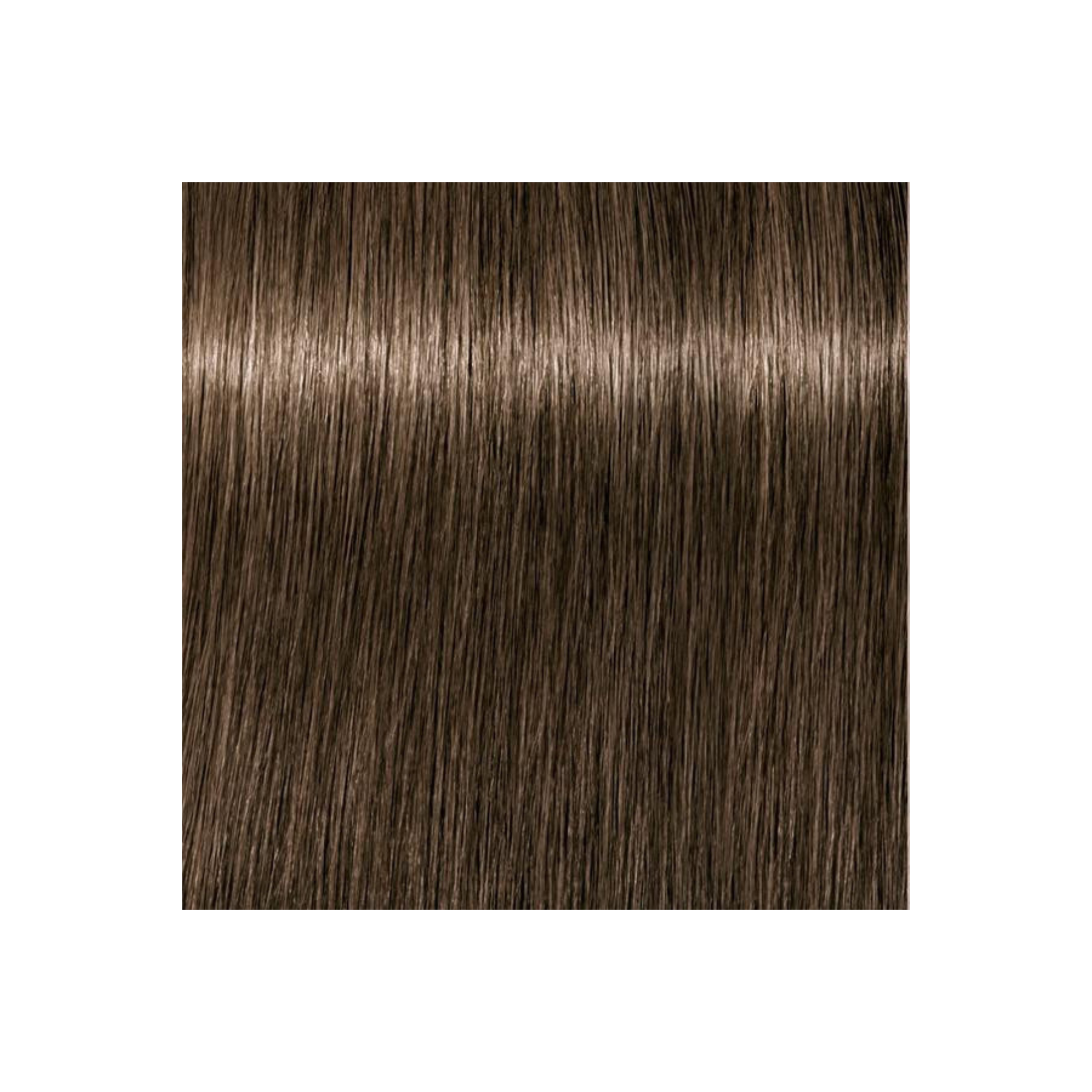 IGORA COLOR10 - COLORATION CRÈME PERMANENTE 10 MINUTES