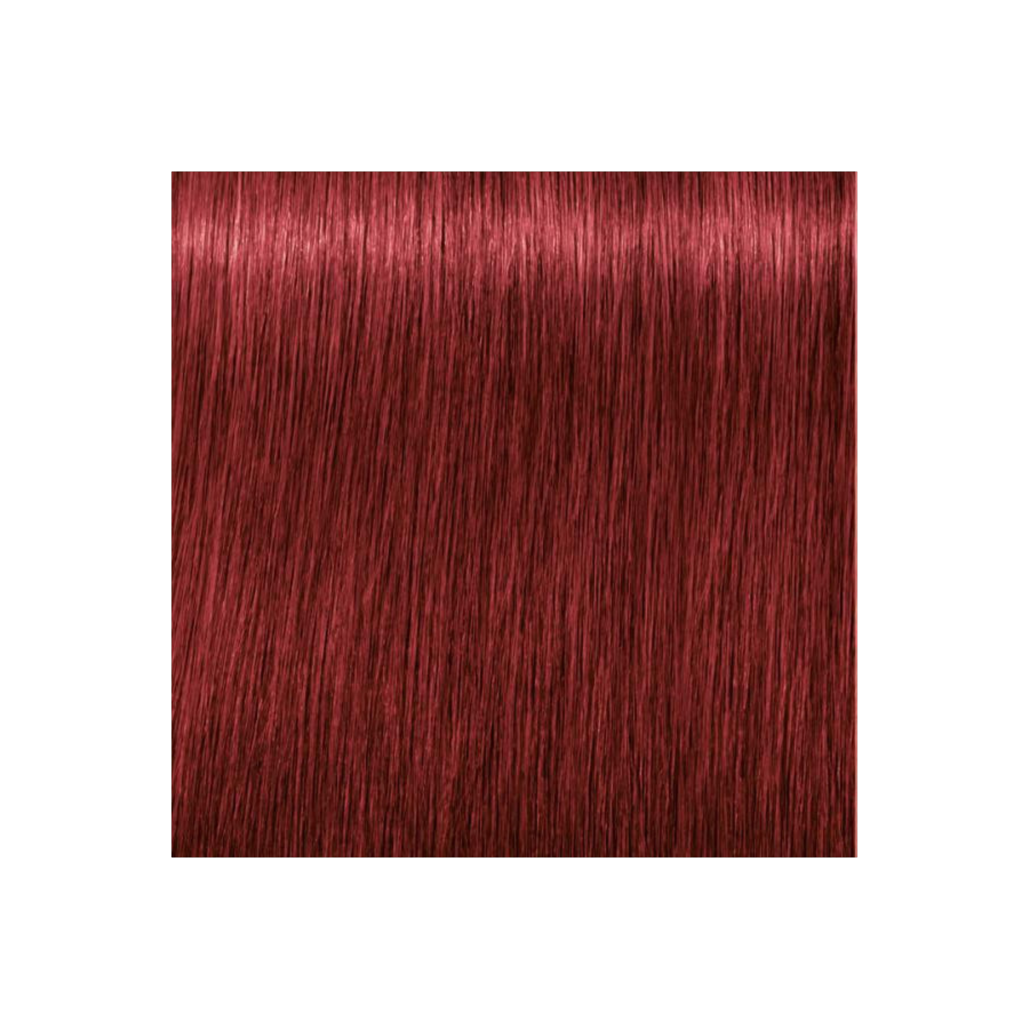 IGORA COLOR10 - COLORATION CRÈME PERMANENTE 10 MINUTES