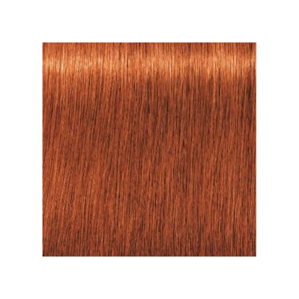 SCHWARZKOPF PROFESSIONNEL_Igora Royal - Coloration permanente_60ml-7-77 - Blond moyen cuivré extra_Gisèle produits de beauté