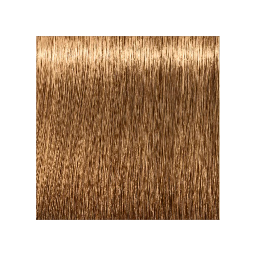 SCHWARZKOPF PROFESSIONNEL_Igora Royal - Coloration permanente_60ml-8-55 - Blond clair doré extra_Gisèle produits de beauté