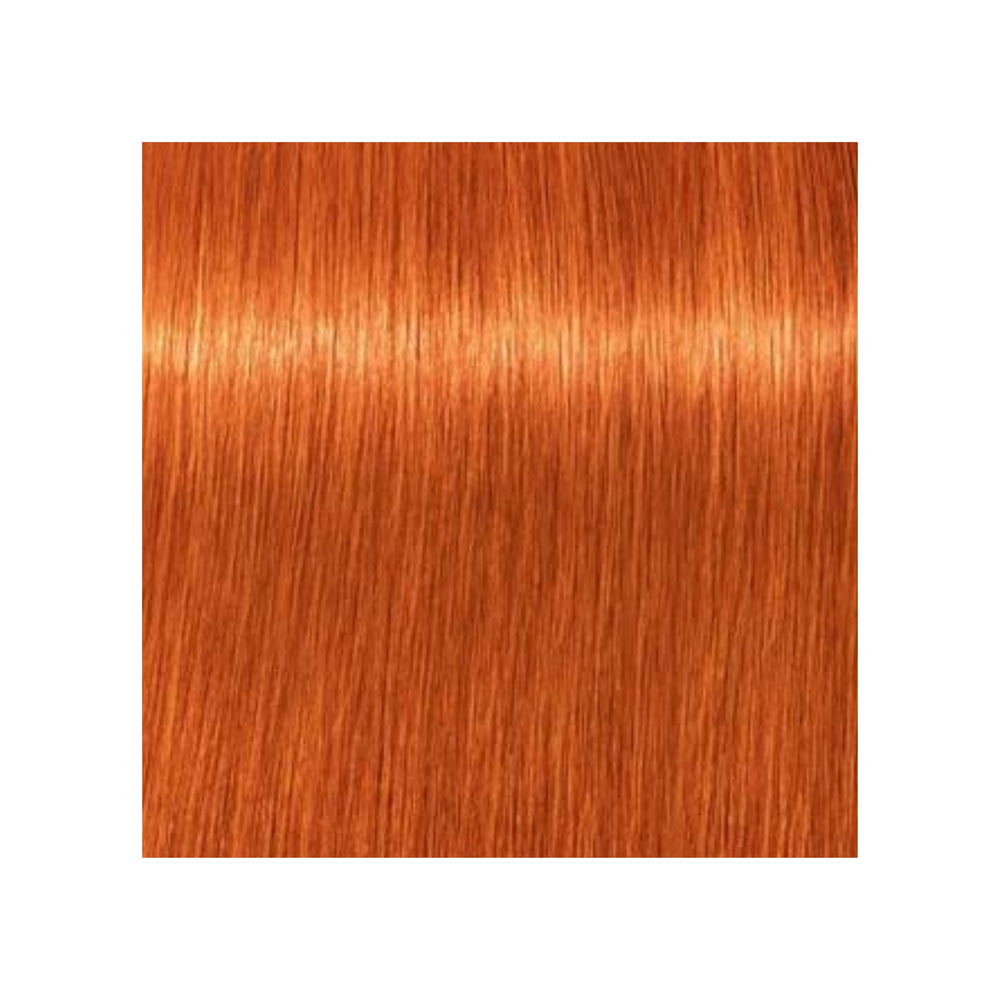 SCHWARZKOPF PROFESSIONNEL_Igora Royal - Coloration permanente_60ml-8-77 - Blond clair cuivré extra_Gisèle produits de beauté