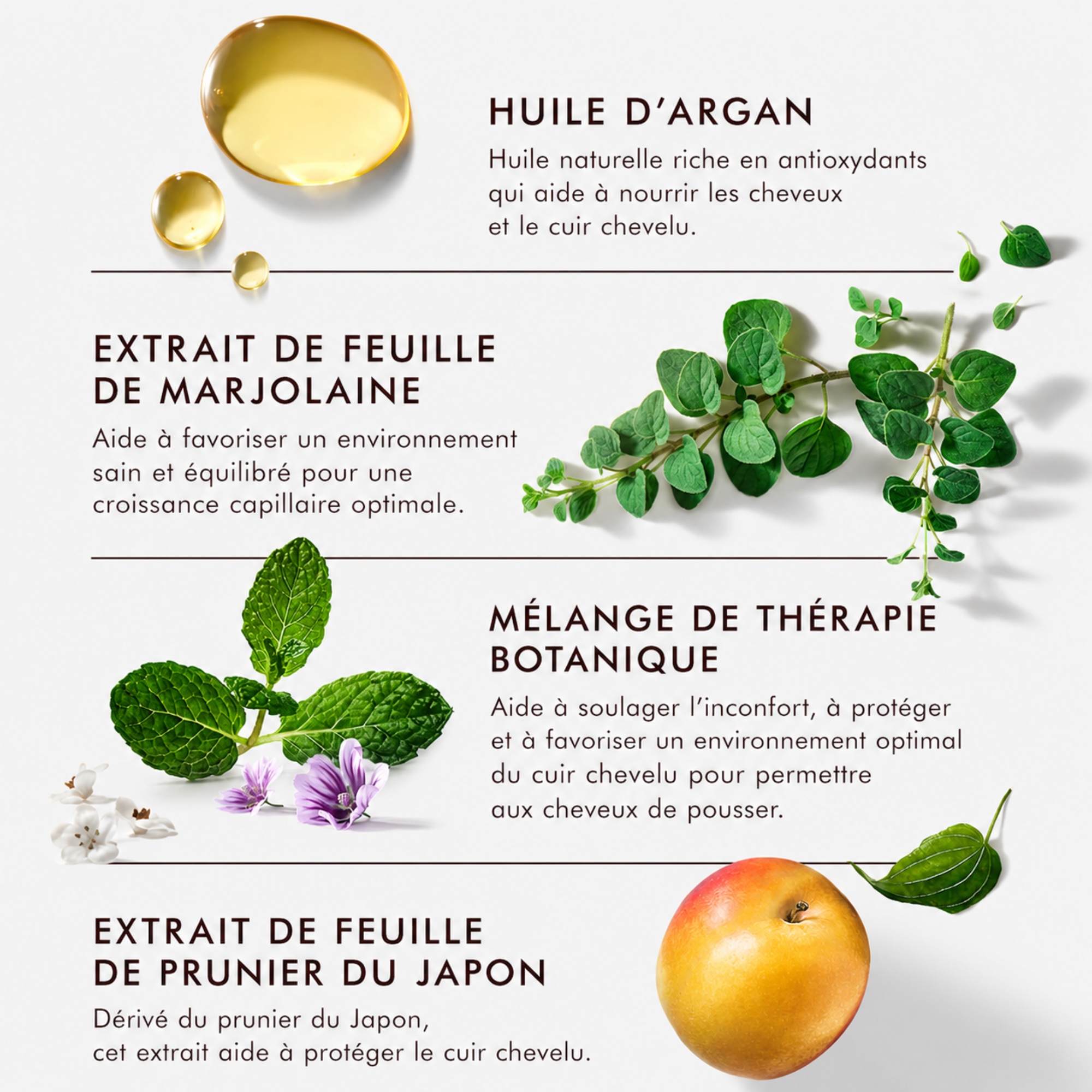 SCALP - TONIQUE REVITALISANT