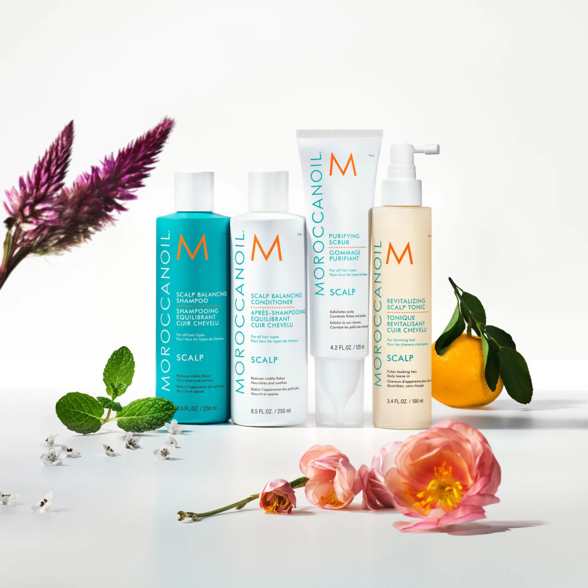 SCALP - GOMMAGE PURIFIANT