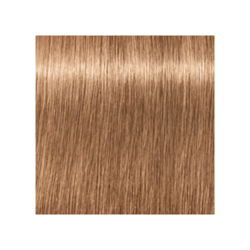 SCHWARZKOPF PROFESSIONNEL_Igora Royal - Coloration permanente_60ml-9-65 - Blond très clair marron doré_Gisèle produits de beauté