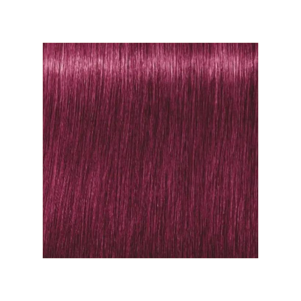 SCHWARZKOPF PROFESSIONNEL_Igora Royal - Coloration permanente_60ml-9-98 - Blond très clair violet rouge_Gisèle produits de beauté