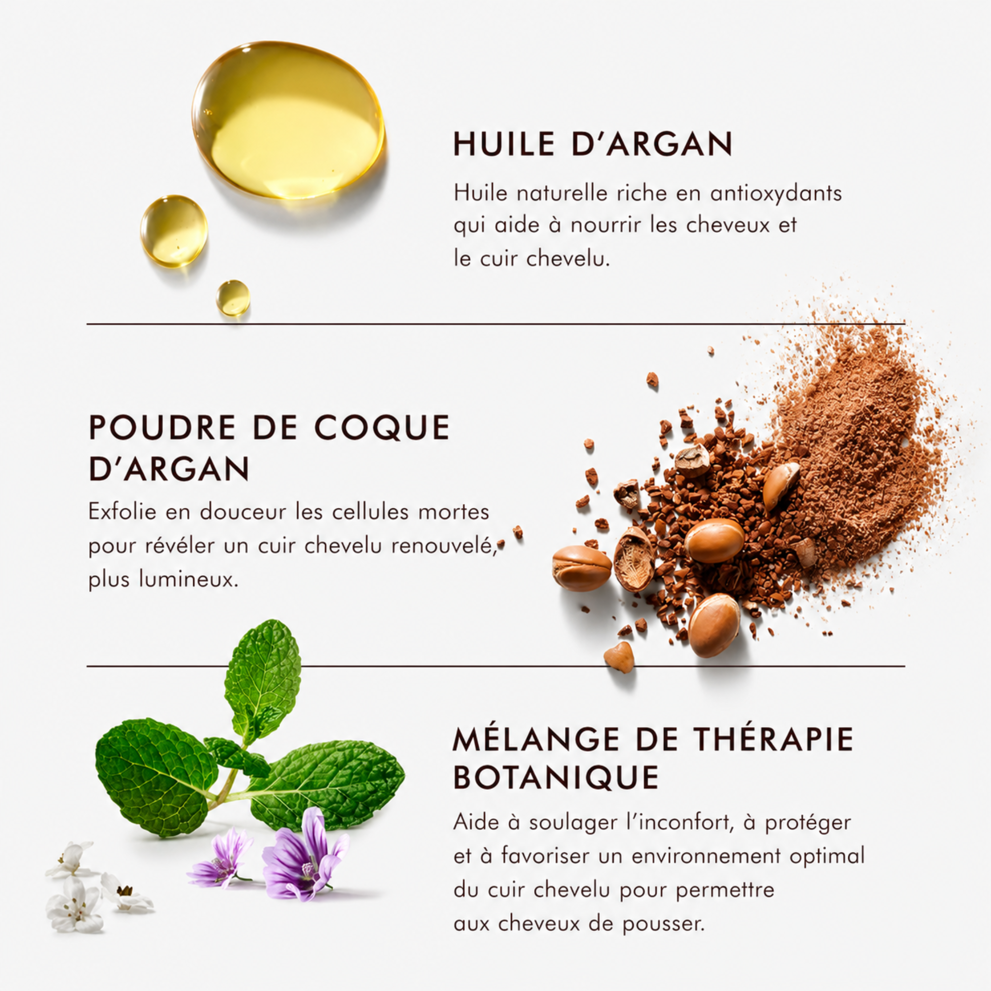 SCALP - GOMMAGE PURIFIANT