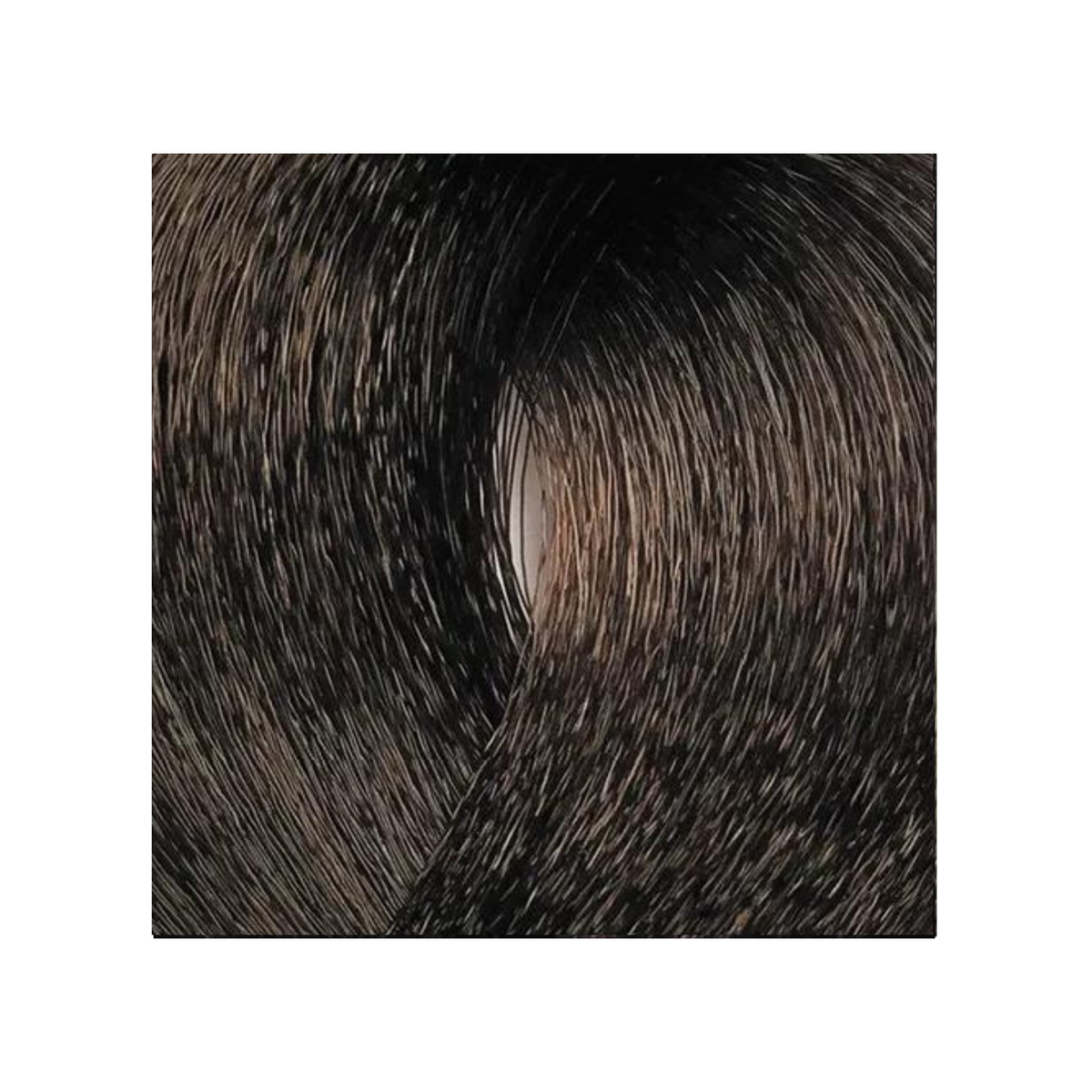 Bes HI-FI - Coloration permanente (Niveaux 5),format 100ml, couleur 5.3 Light golden brown.