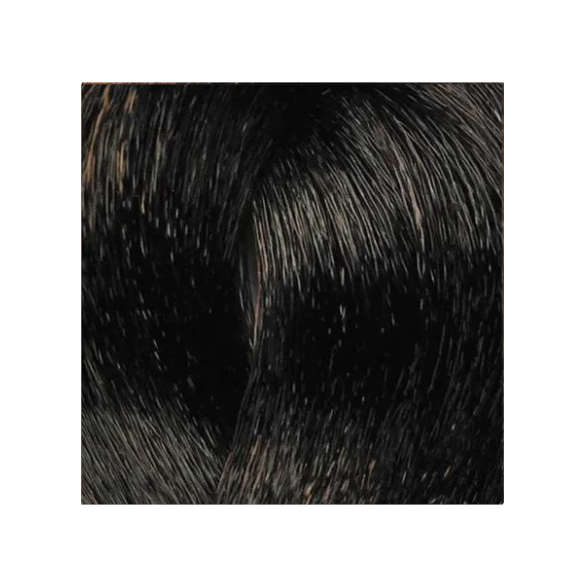 Bes Hi-Fi Color Haarfarbe – 100 Ml Kastanienbraun Mit Kupfergoldenen Reflexen, Für Natürlichen Look & Weißhaarabdeckung