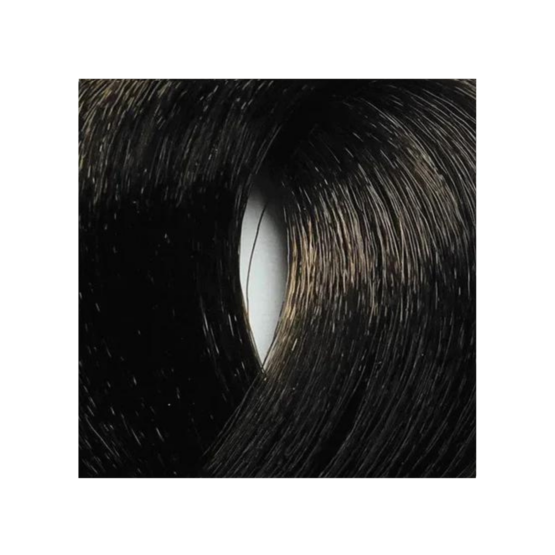 Bes HI-FI - Coloration permanente (Niveaux 6),format 100ml, couleur 6.0 Dark blonde.