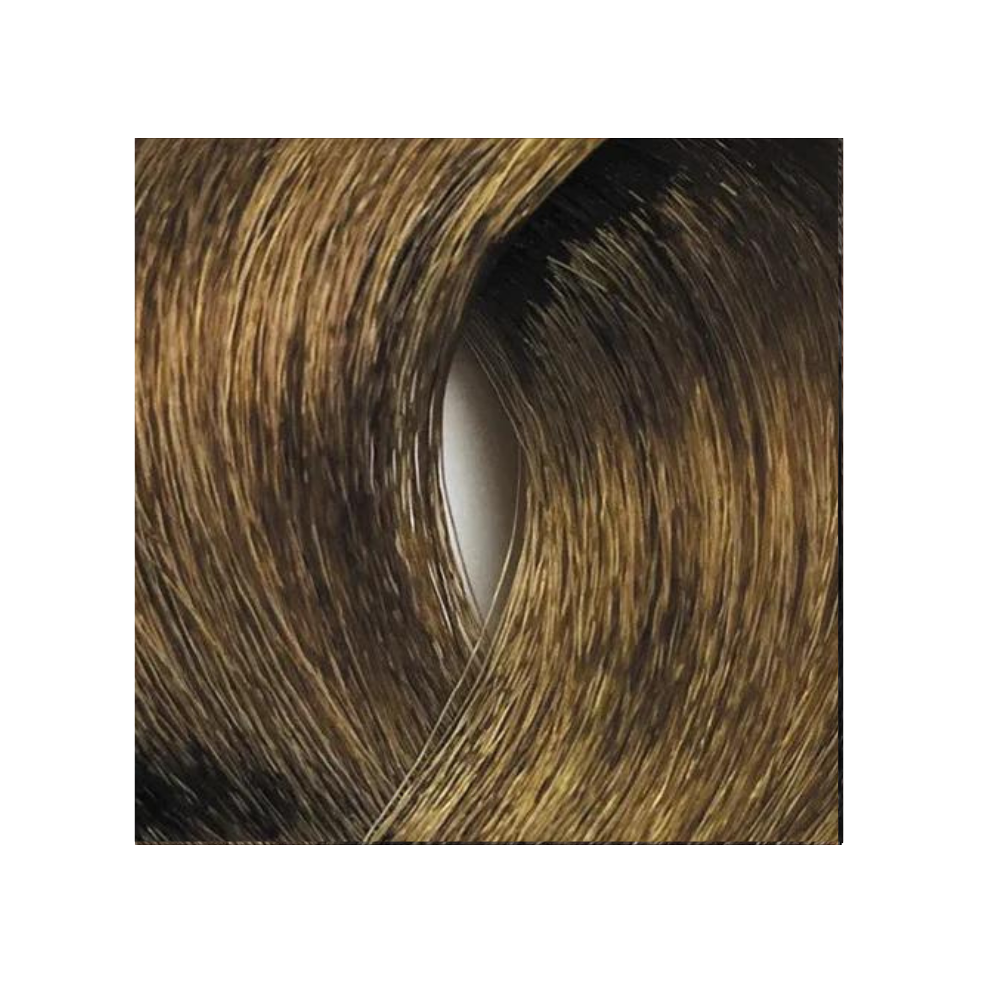 Bes HI-FI - Coloration permanente (Niveaux 6),format 100ml, couleur 6.38 Amber.