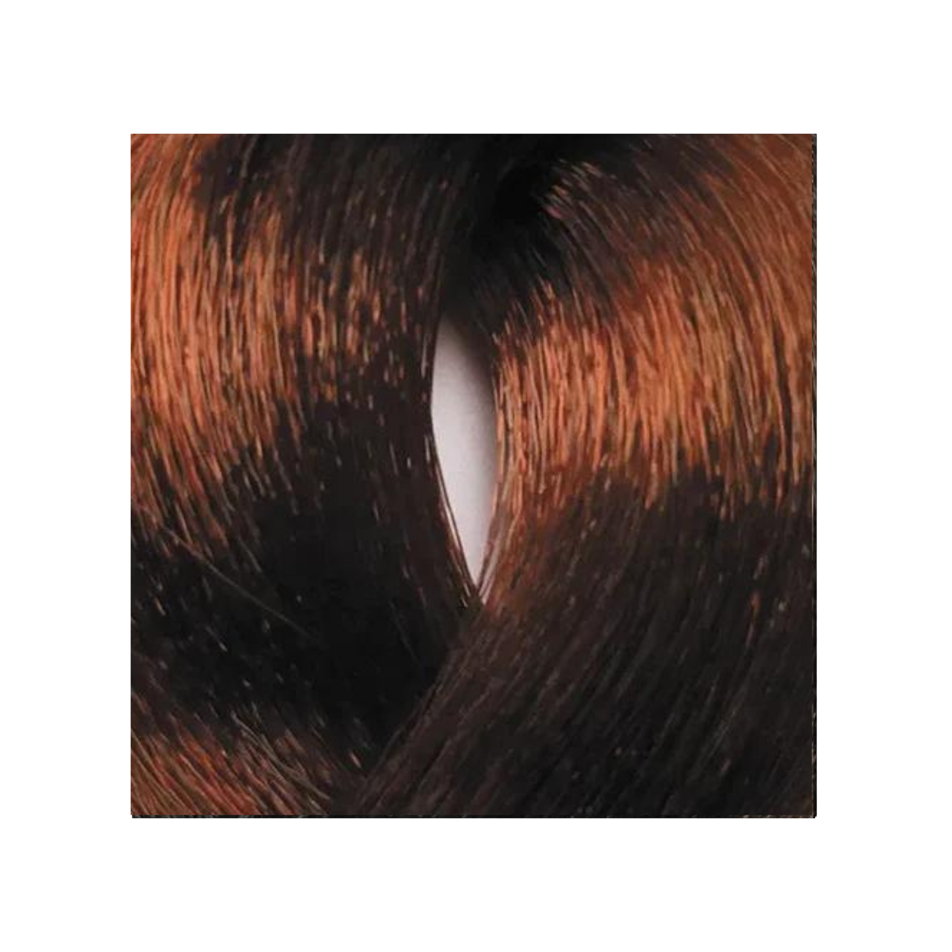 Bes HI-FI - Coloration permanente (Niveaux 6),format 100ml, couleur 6.4 Dark copper blonde.