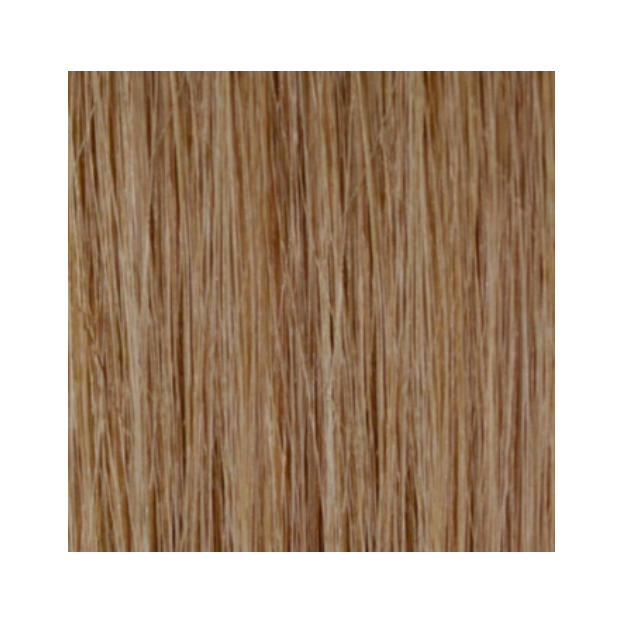 EXTENSIONS À BANDE