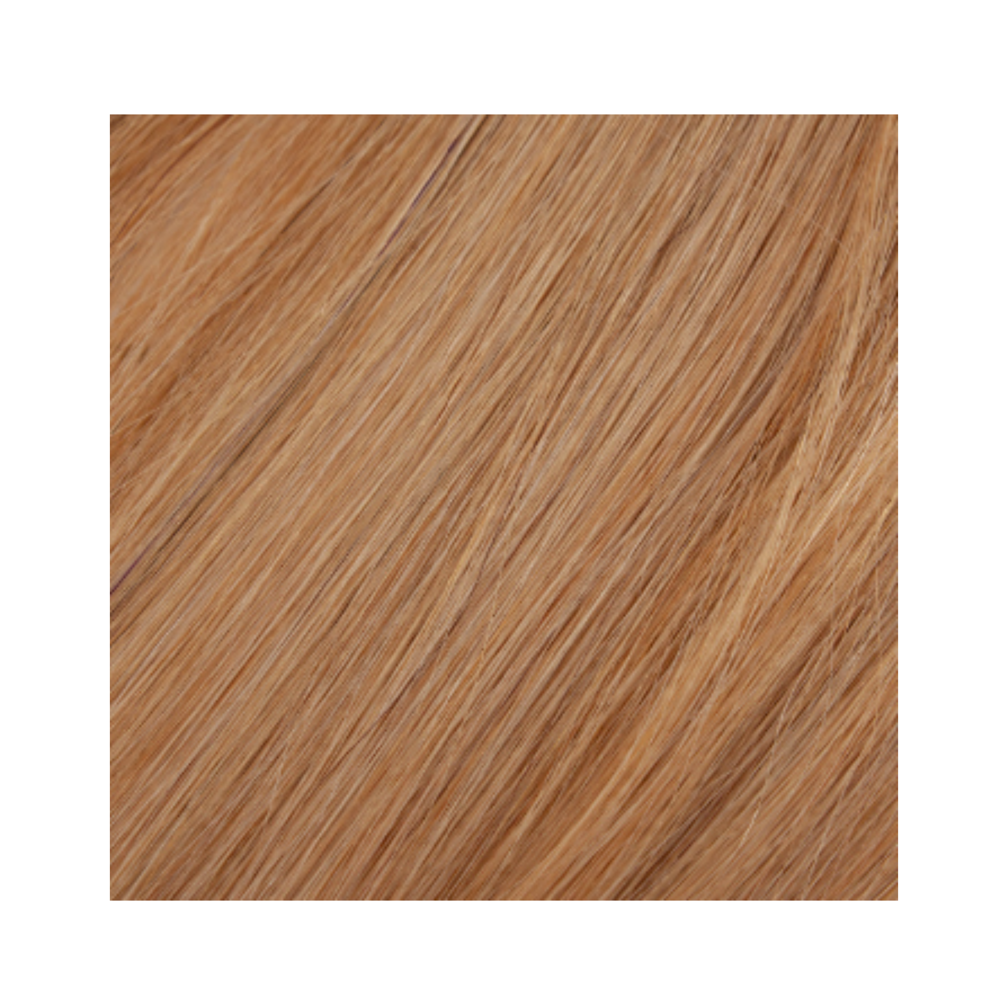 EXTENSIONS À BANDE