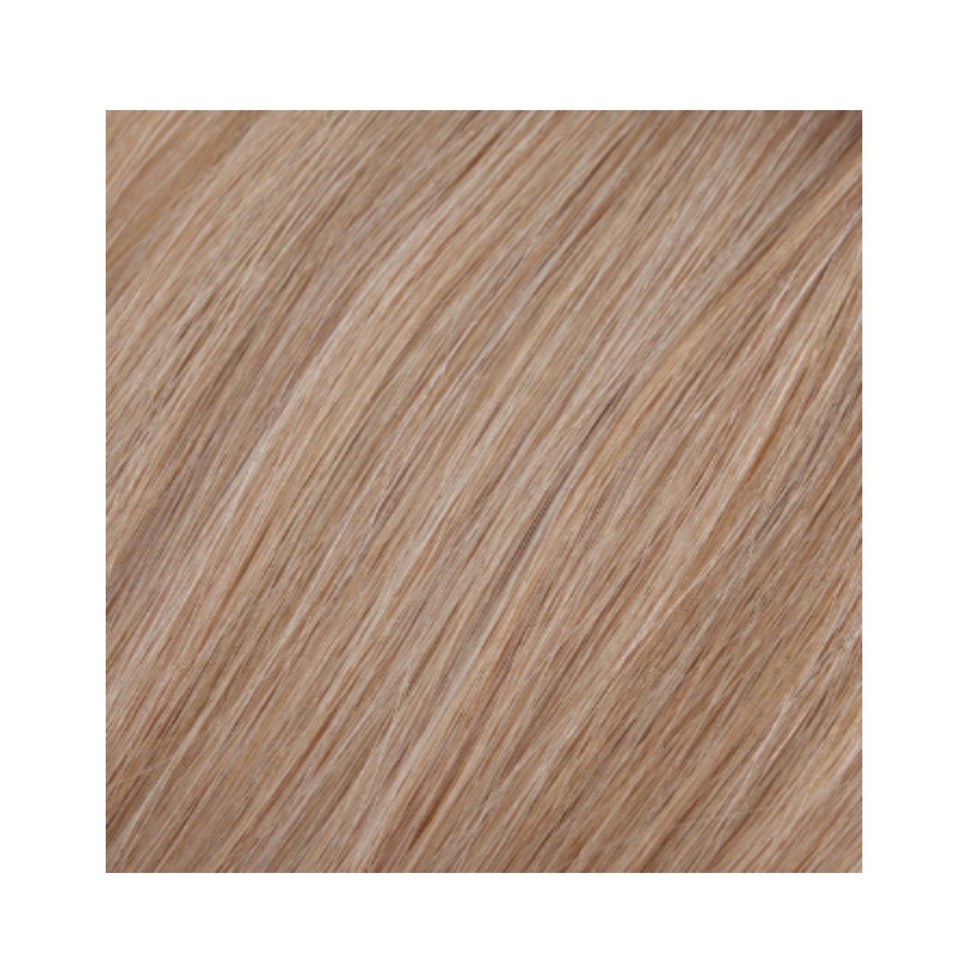 EXTENSIONS À BANDE